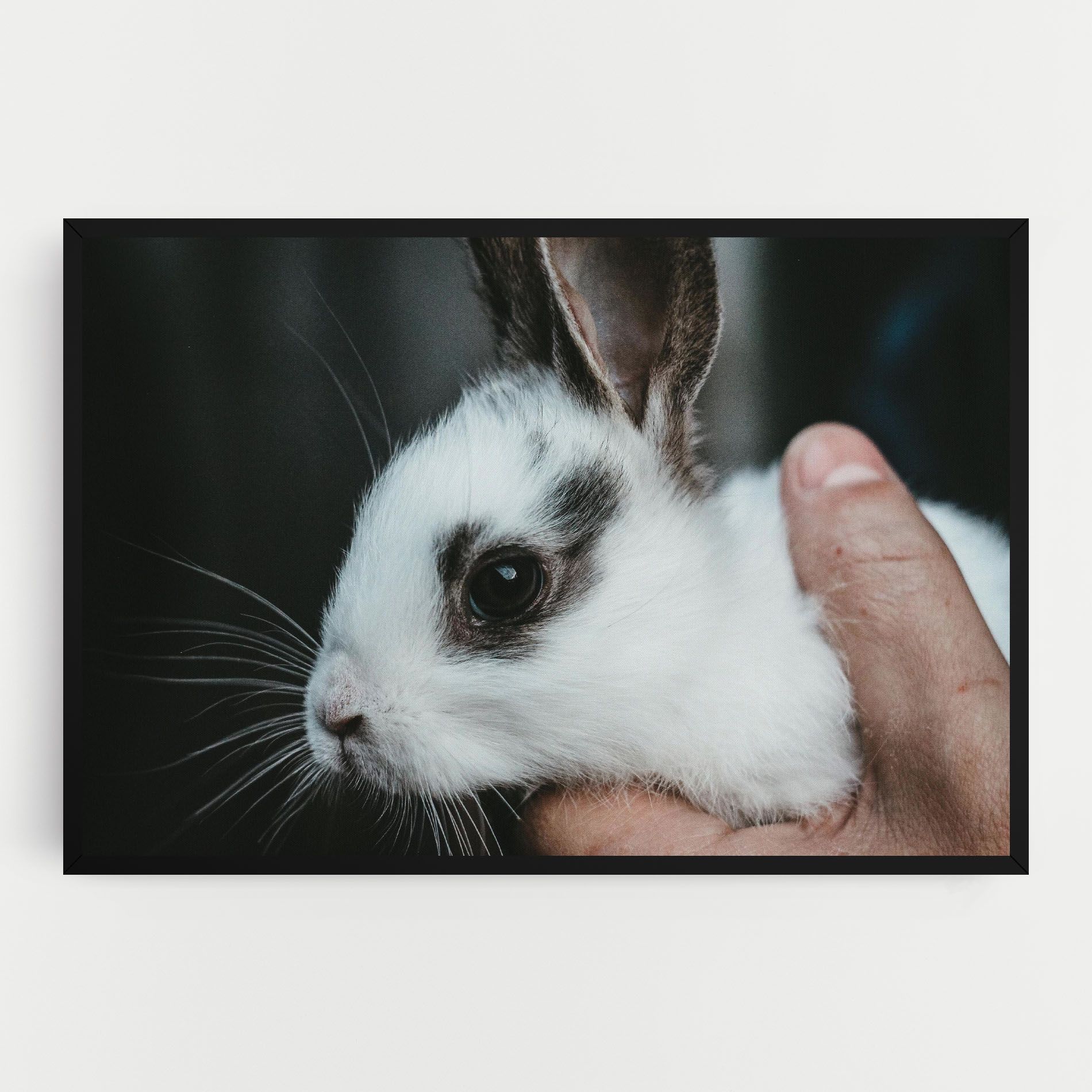 Holding Cute Bunny mockup 0