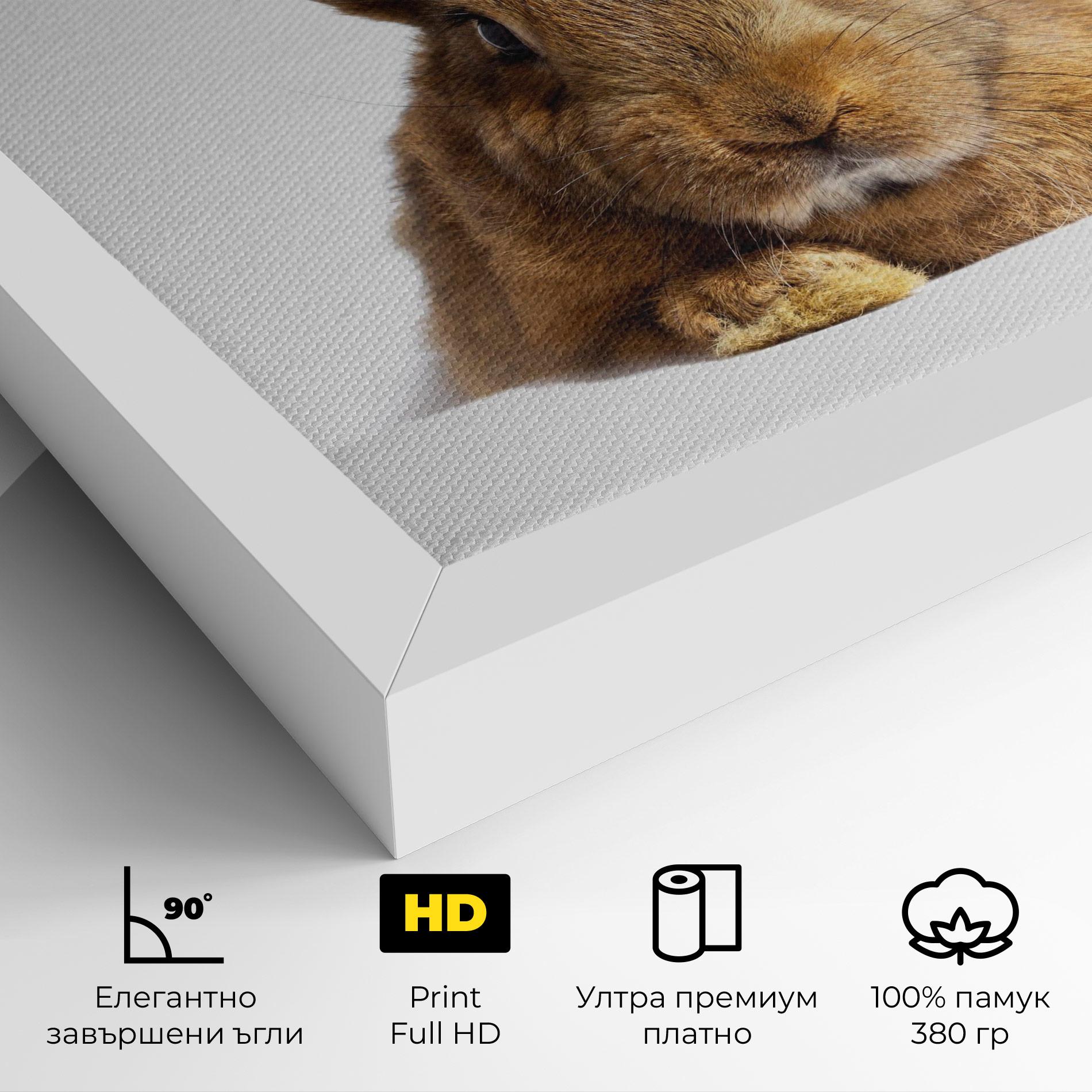Картина на платно Brown Cute Bunny mockup 4