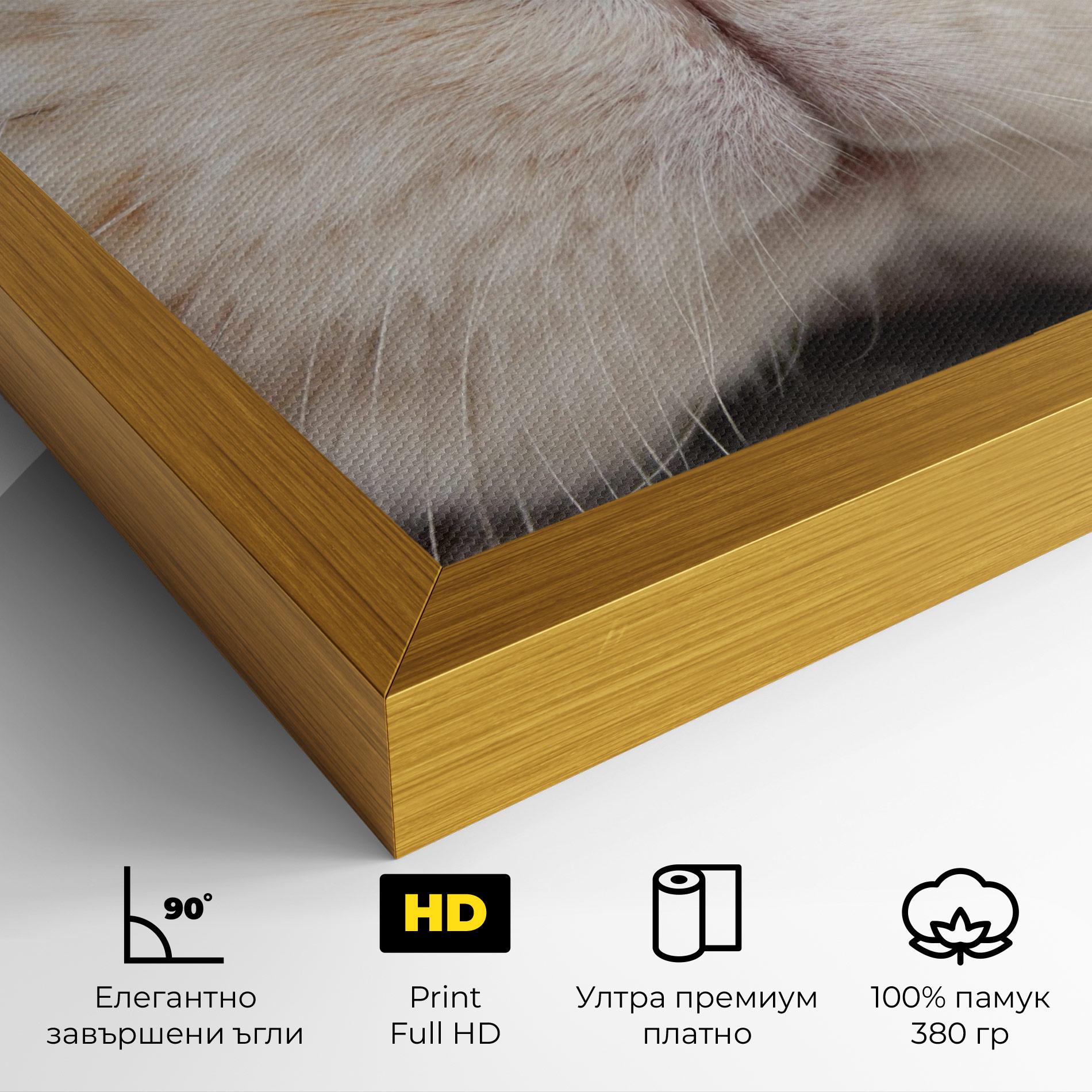 Картина на платно Close Up Bunny mockup 4
