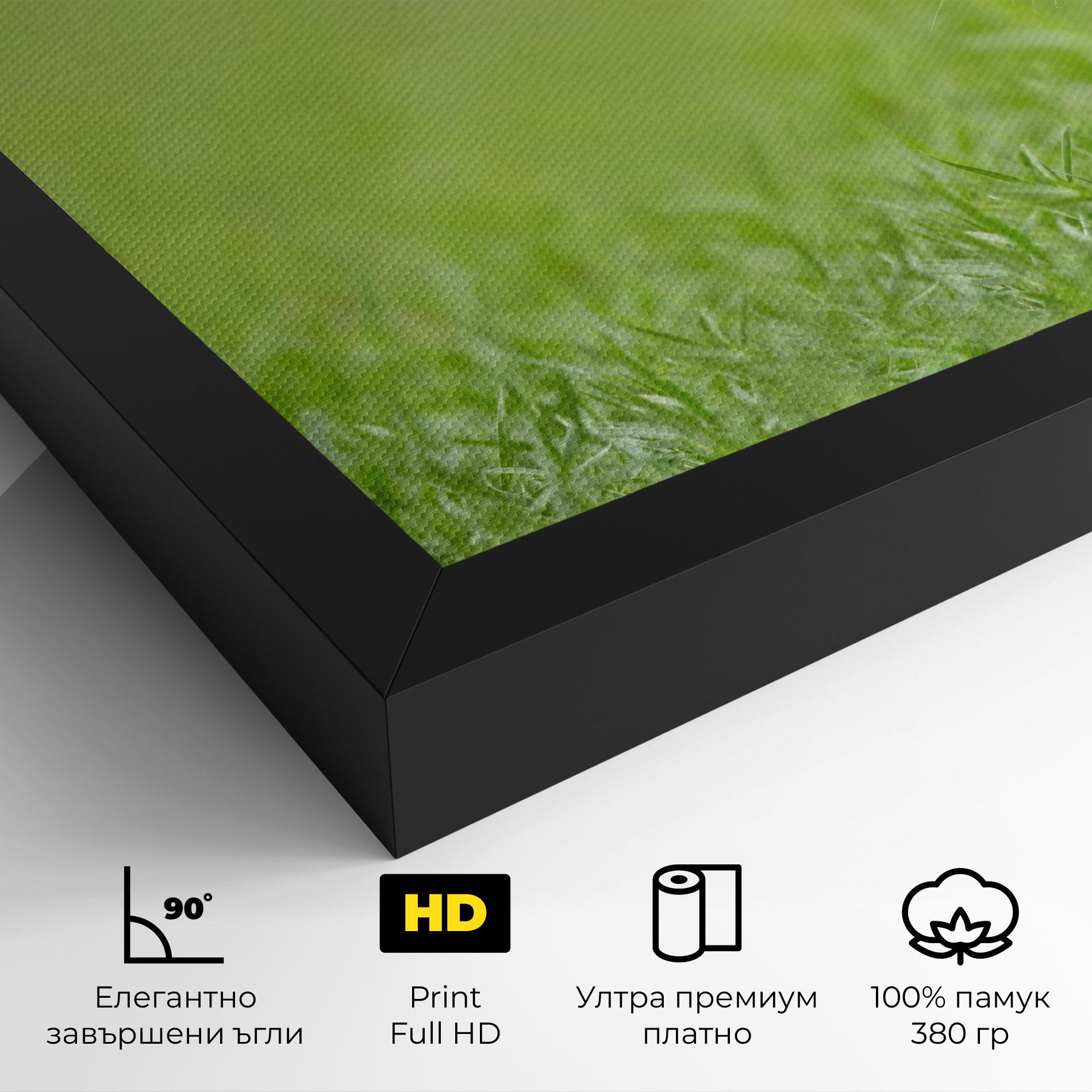 Картина на платно Brown Hares mockup 4