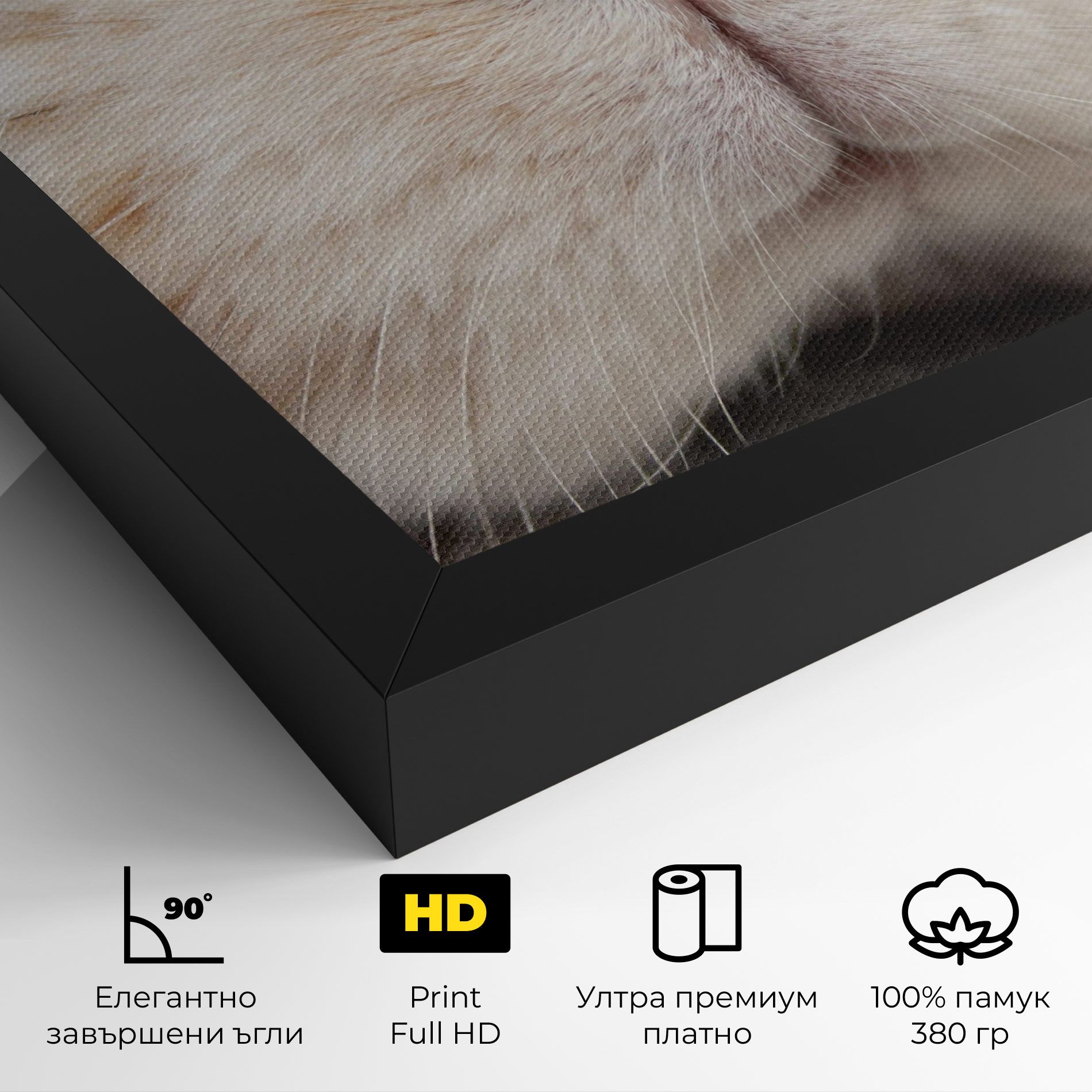 Close Up Bunny mockup 4