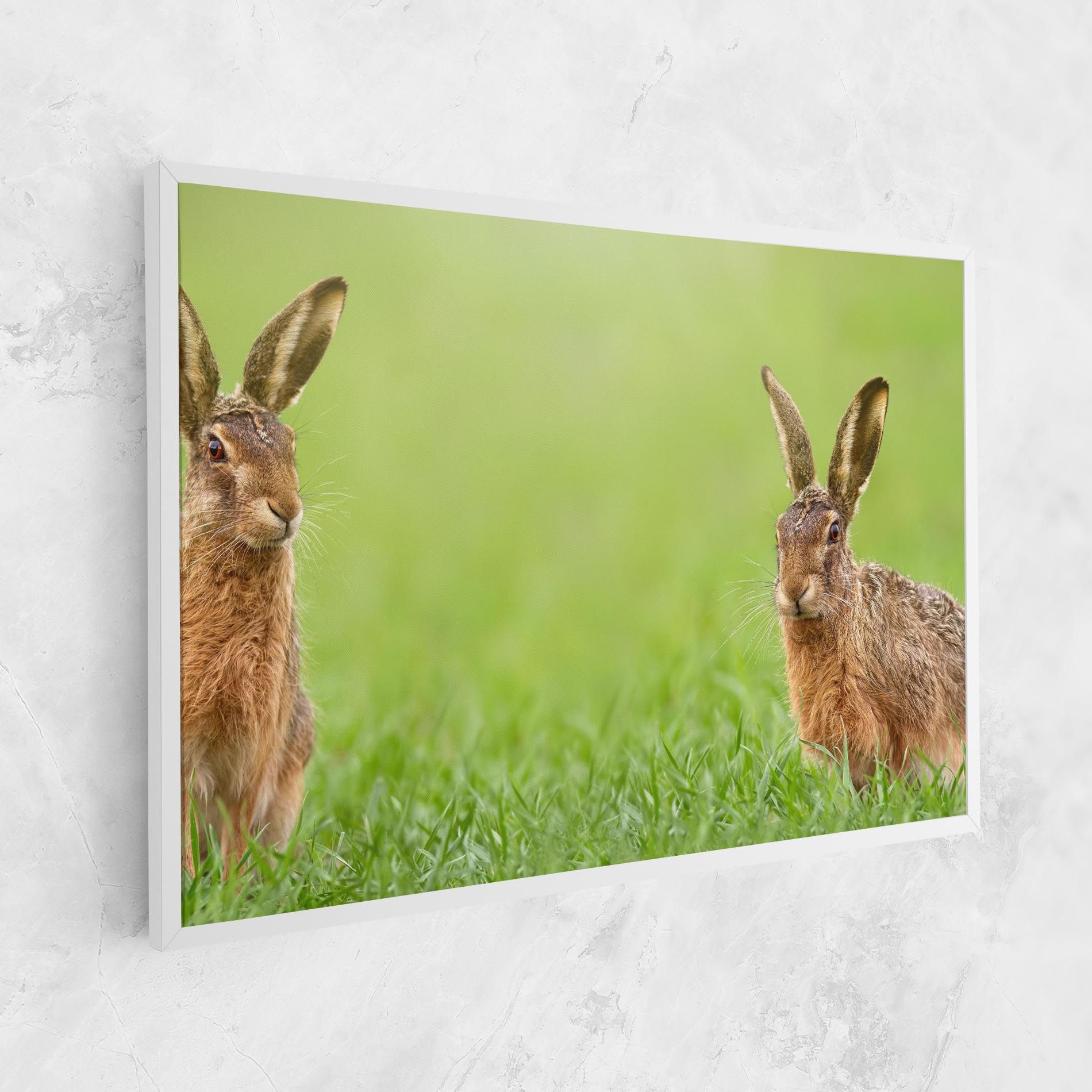 Brown Hares mockup 1