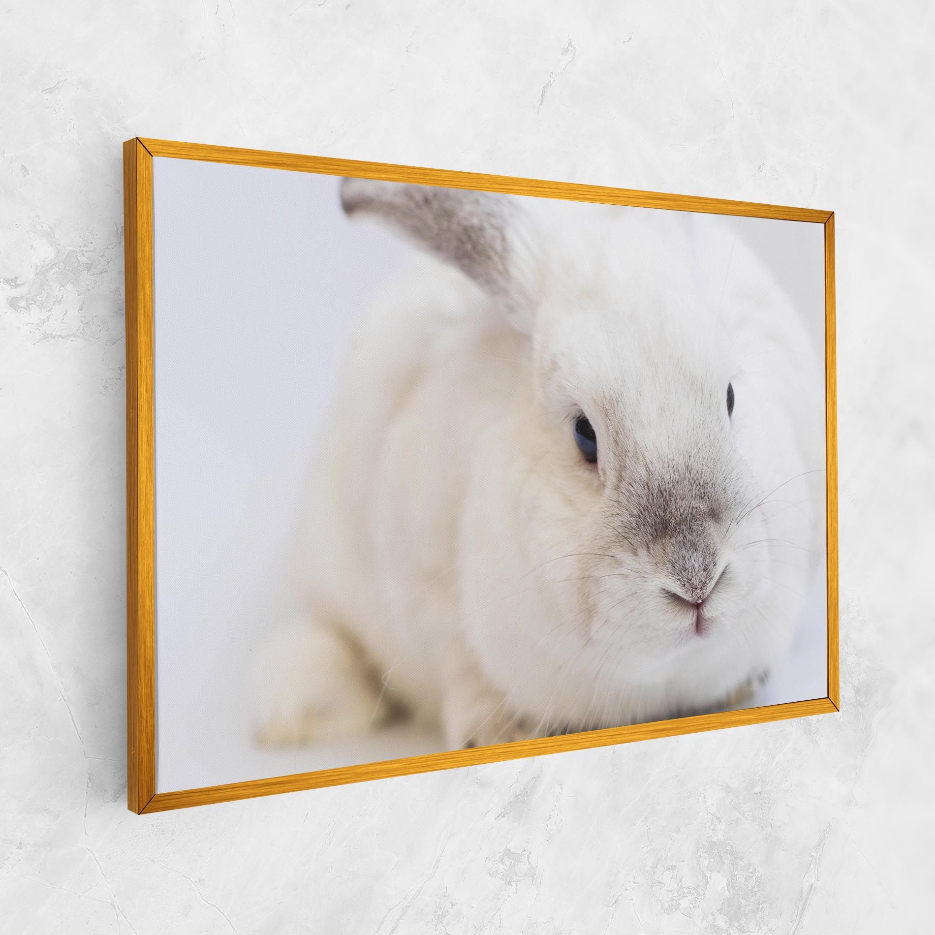 Light Grey Bunny mockup 1