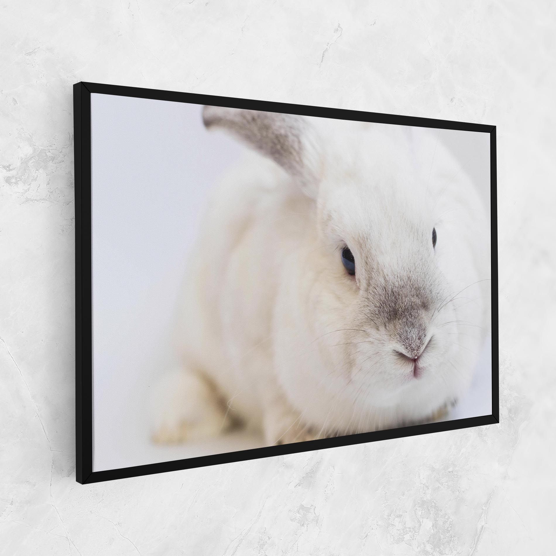 Light Grey Bunny mockup 1