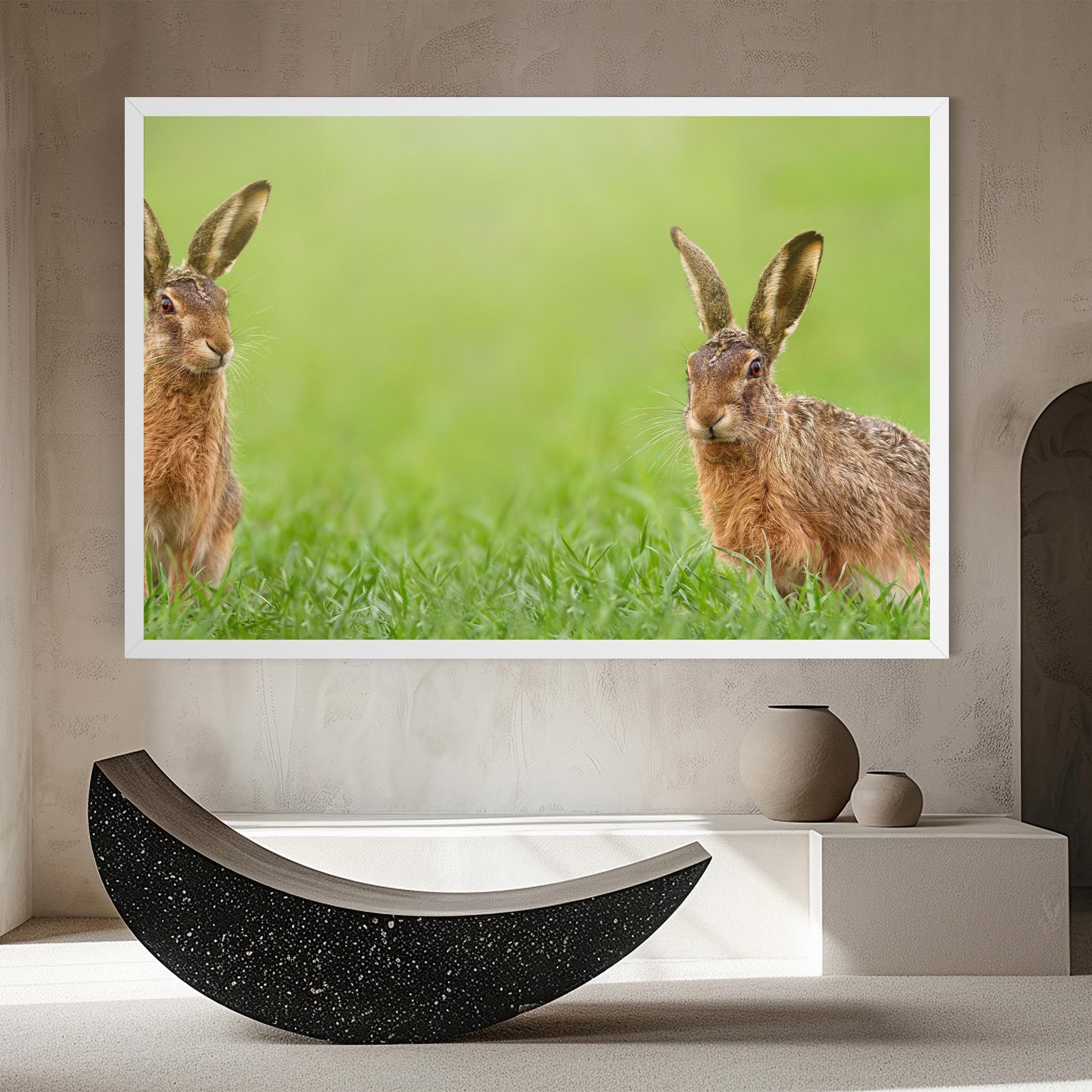 Brown Hares mockup 8