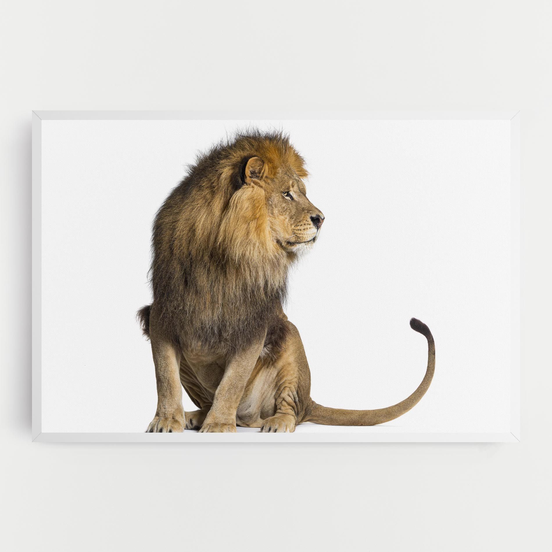 Big Lion mockup 0