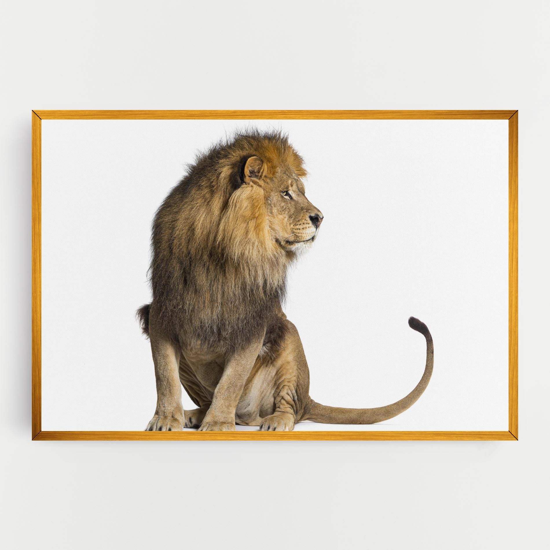 Big Lion mockup 0