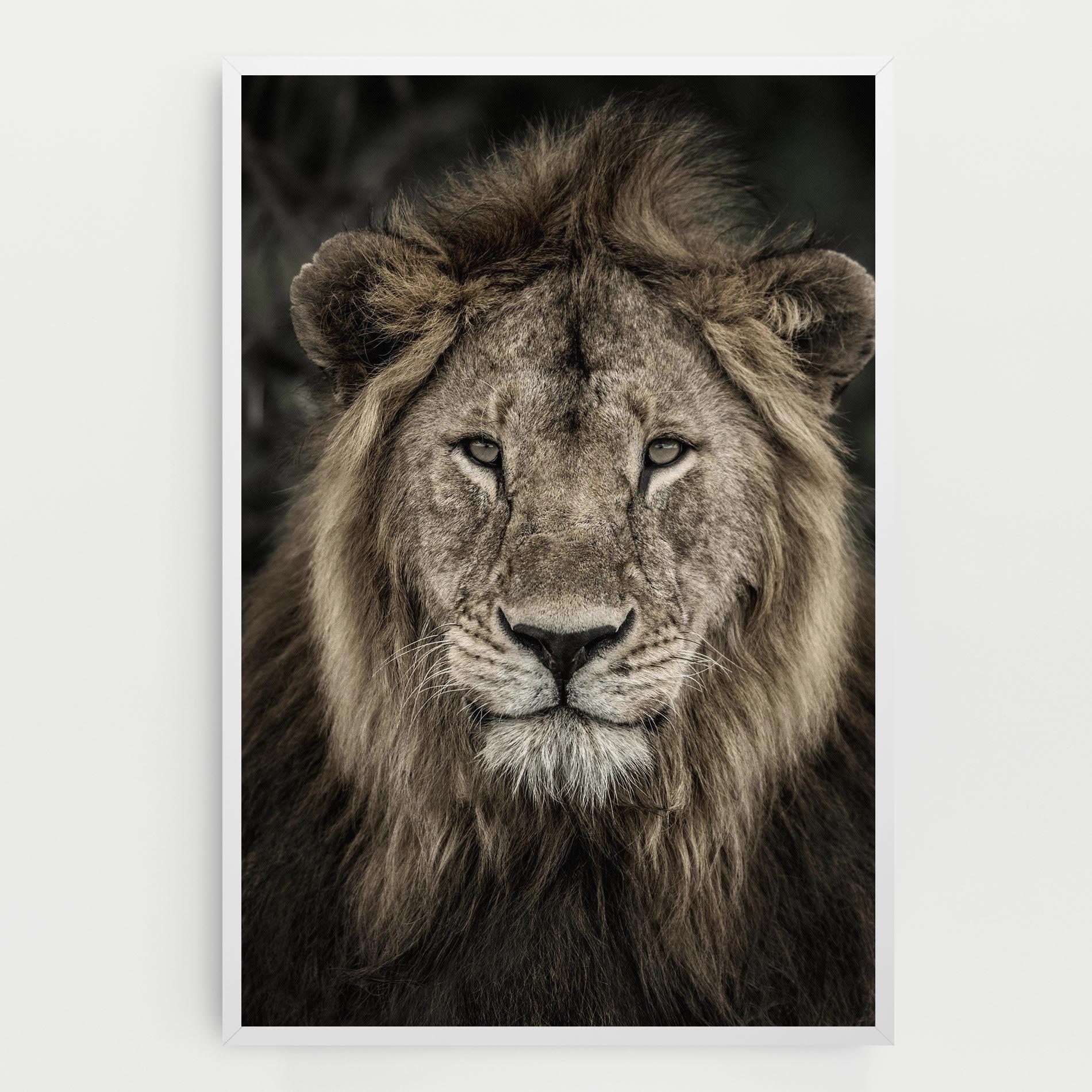 Картина на платно Lion Close Up mockup 0