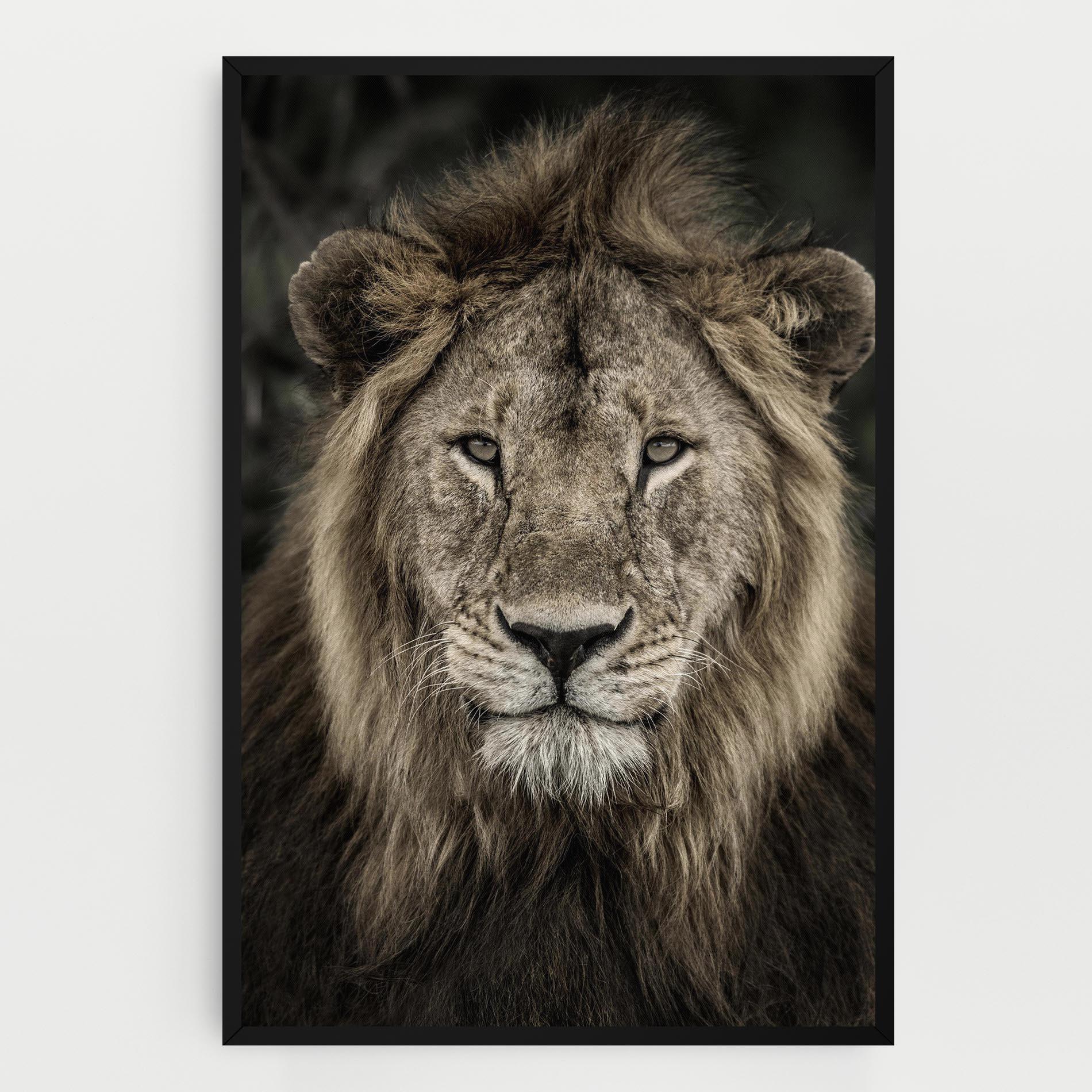 Картина на платно Lion Close Up mockup 0
