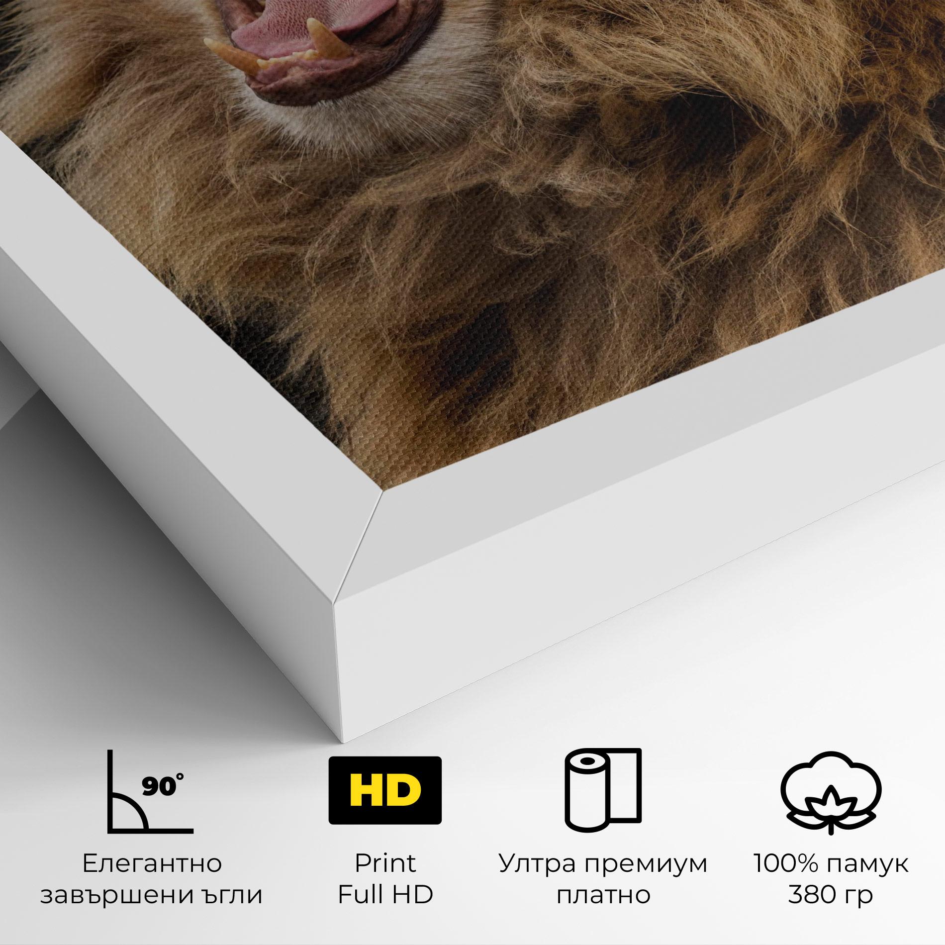 Картина на платно Angry Lion mockup 4