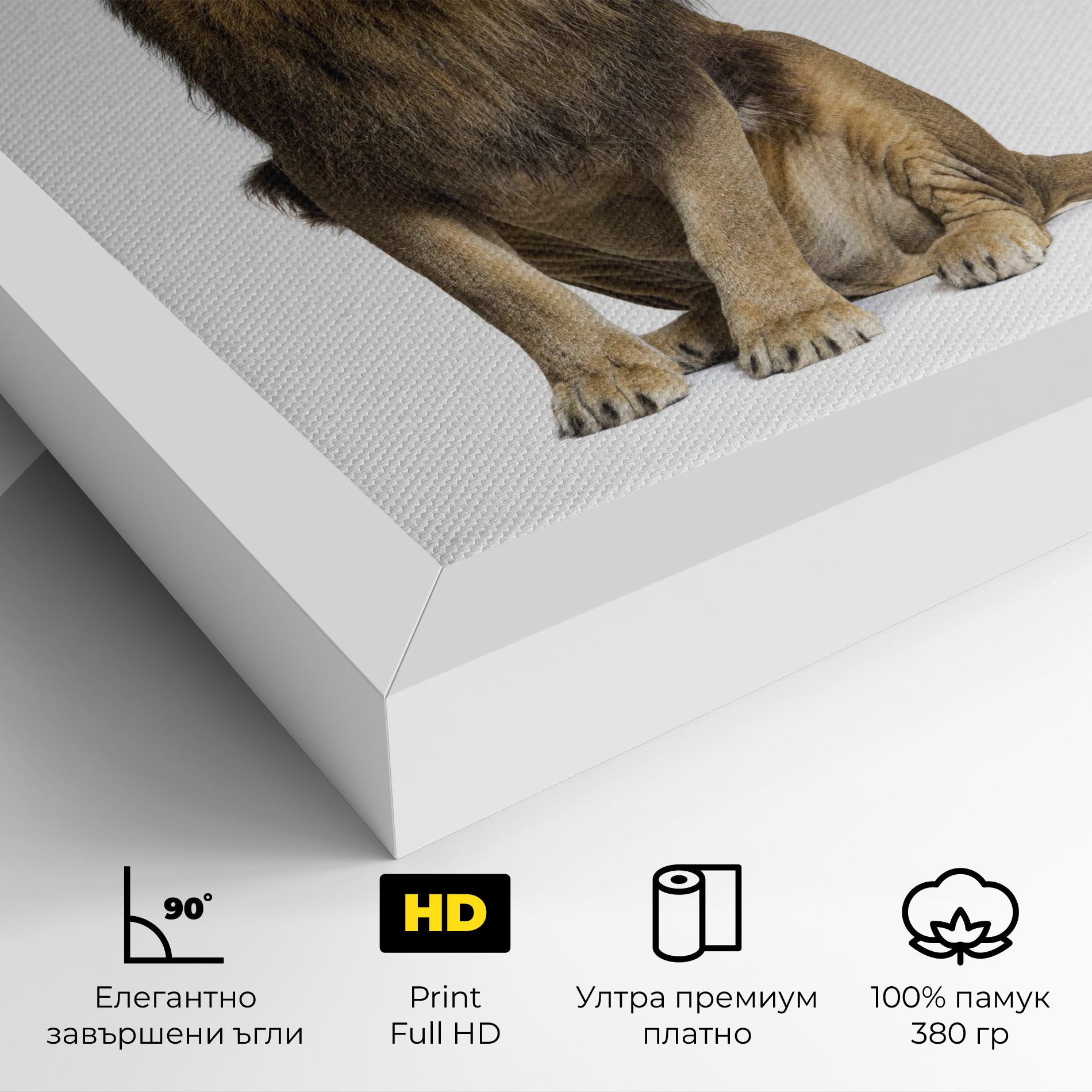 Big Lion mockup 4