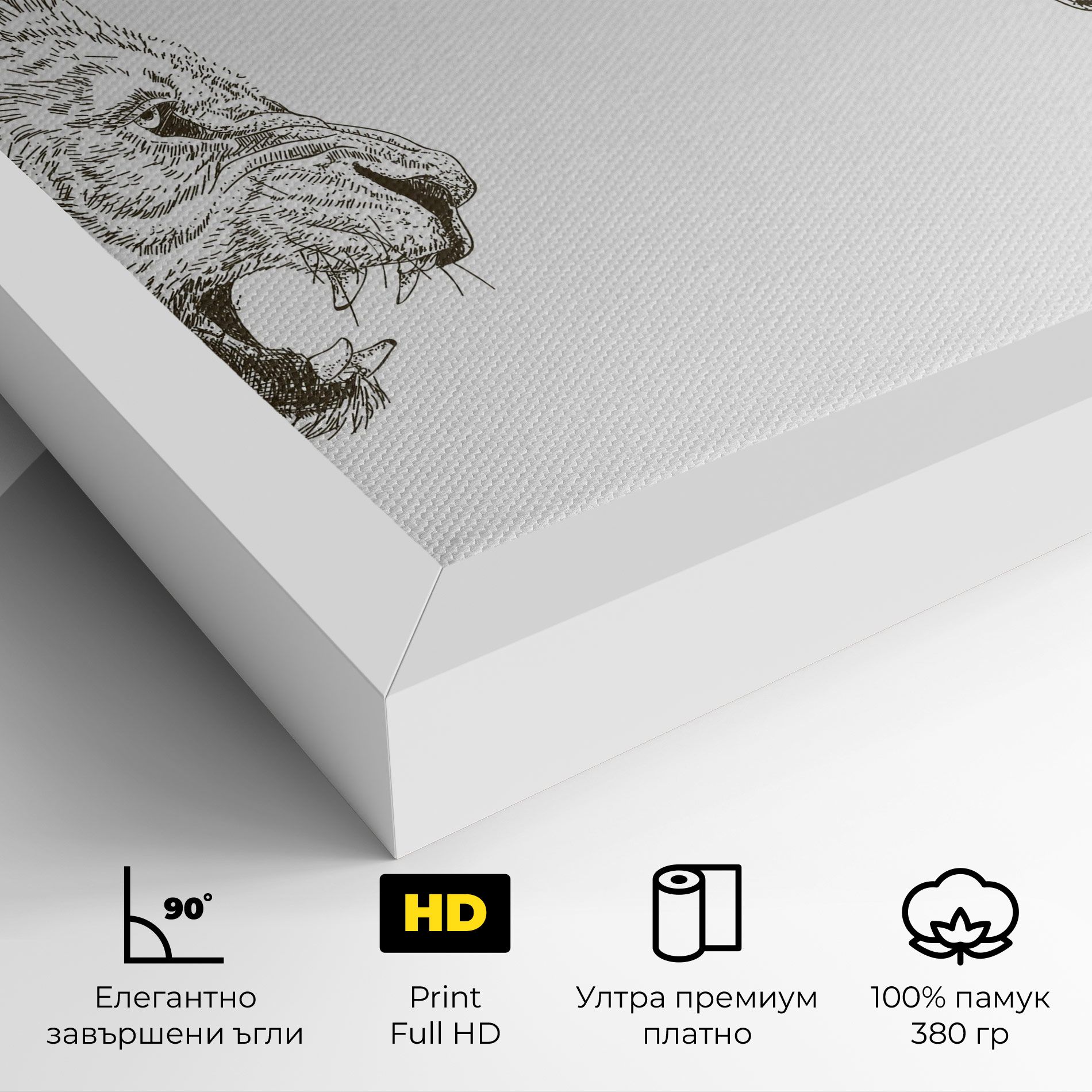 Lion For Text mockup 4