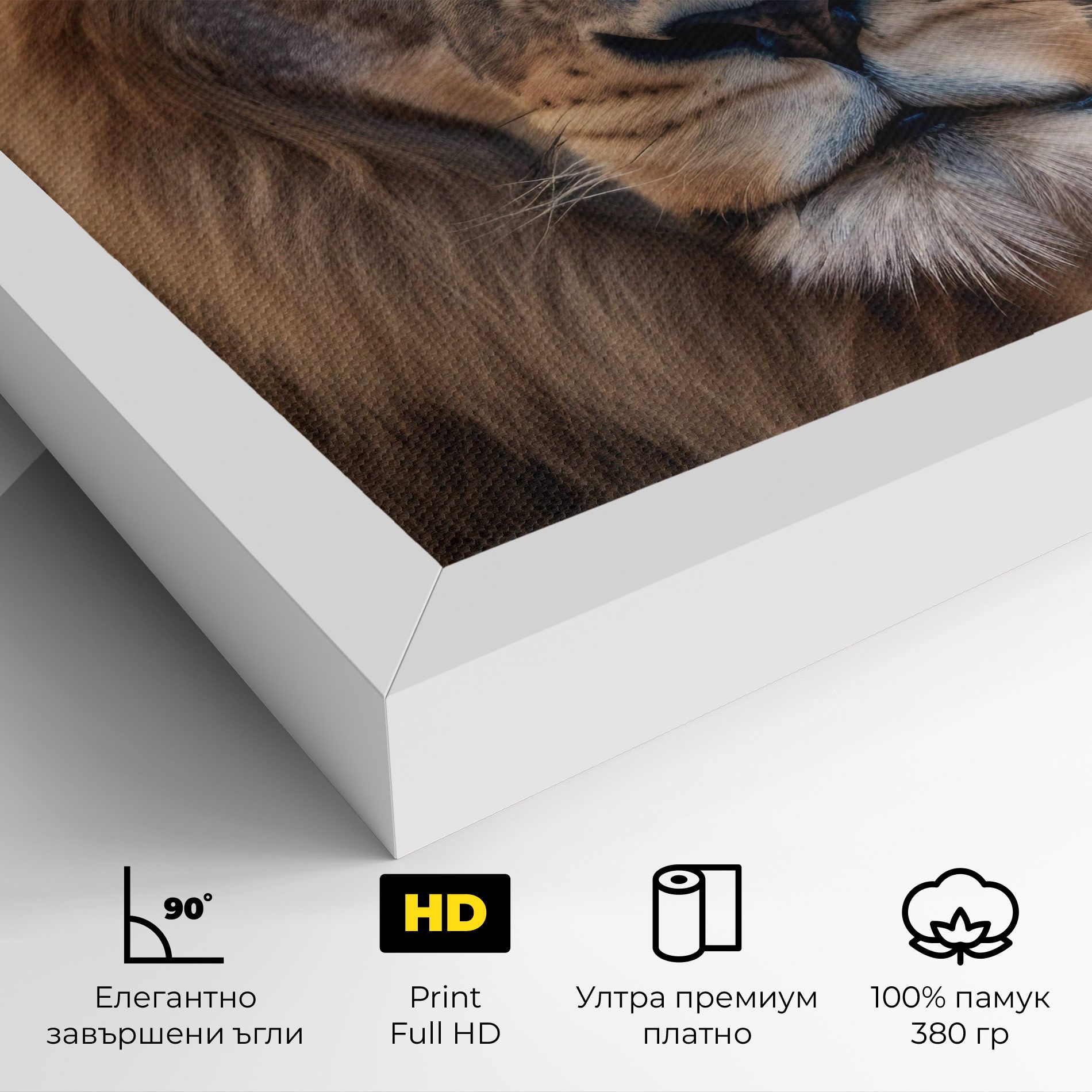 Wild Lion View mockup 4