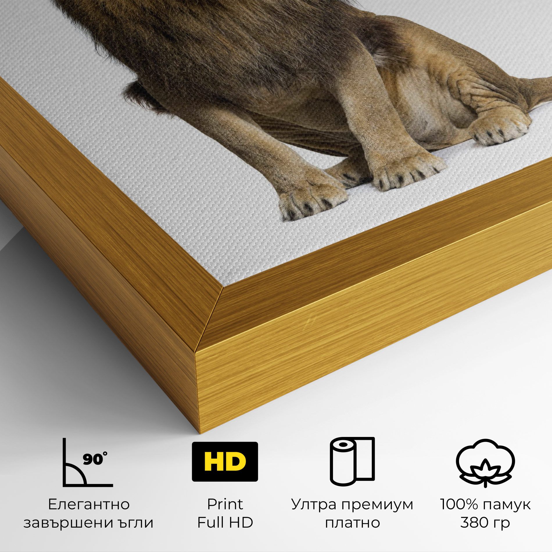 Big Lion mockup 4