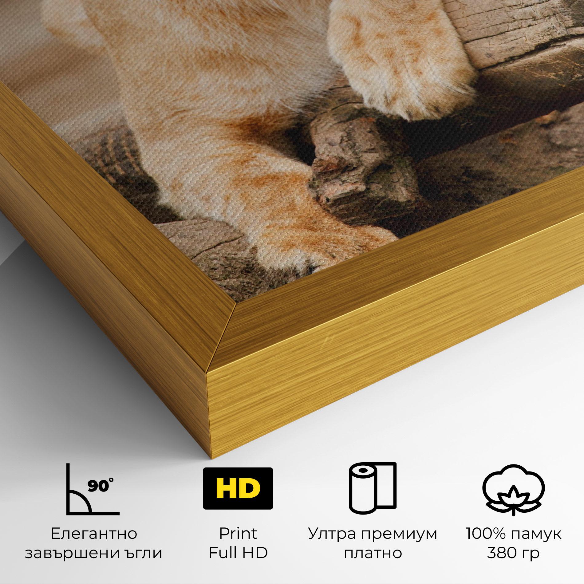 Картина на платно Female Lion Sitting mockup 4