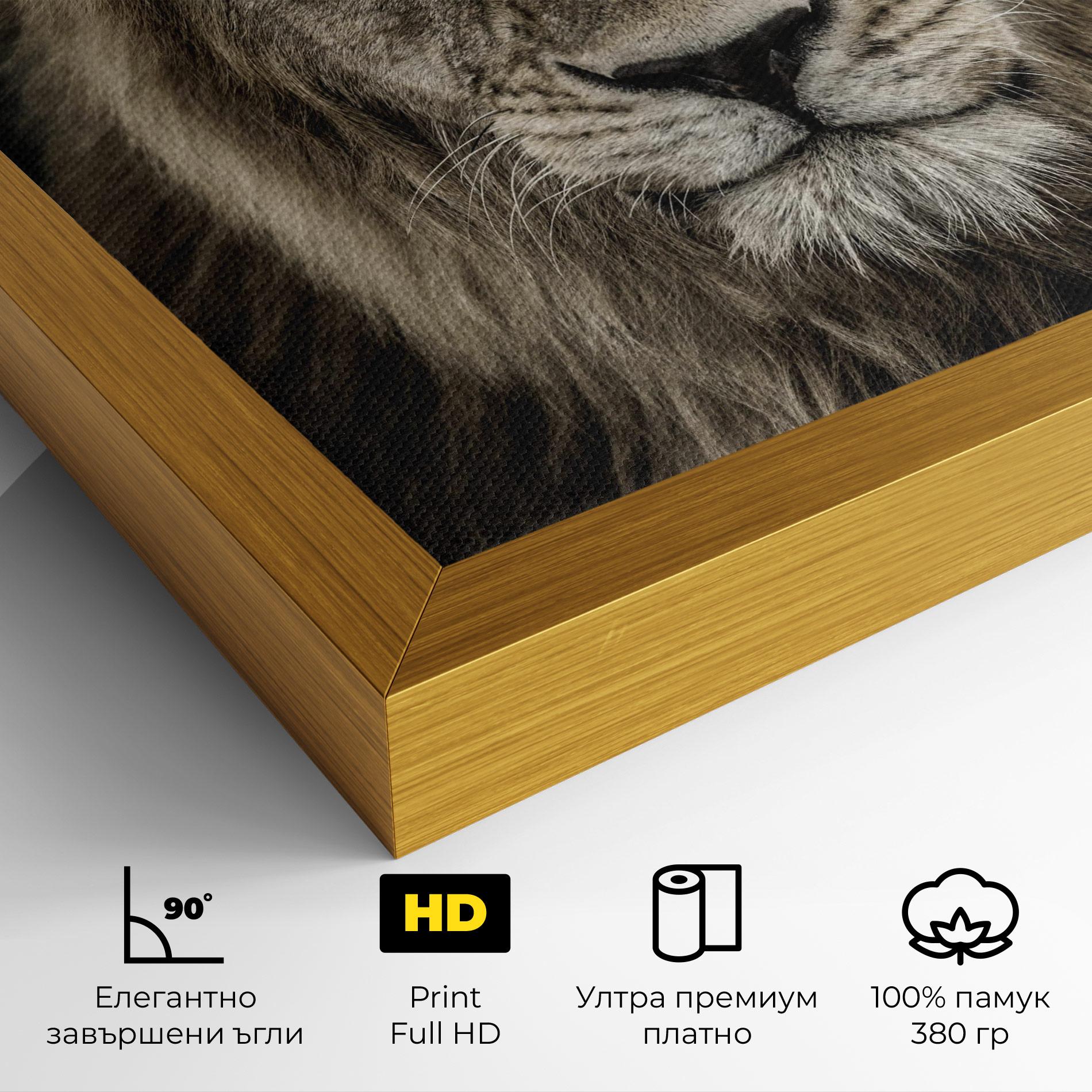 Картина на платно Lion Close Up mockup 4