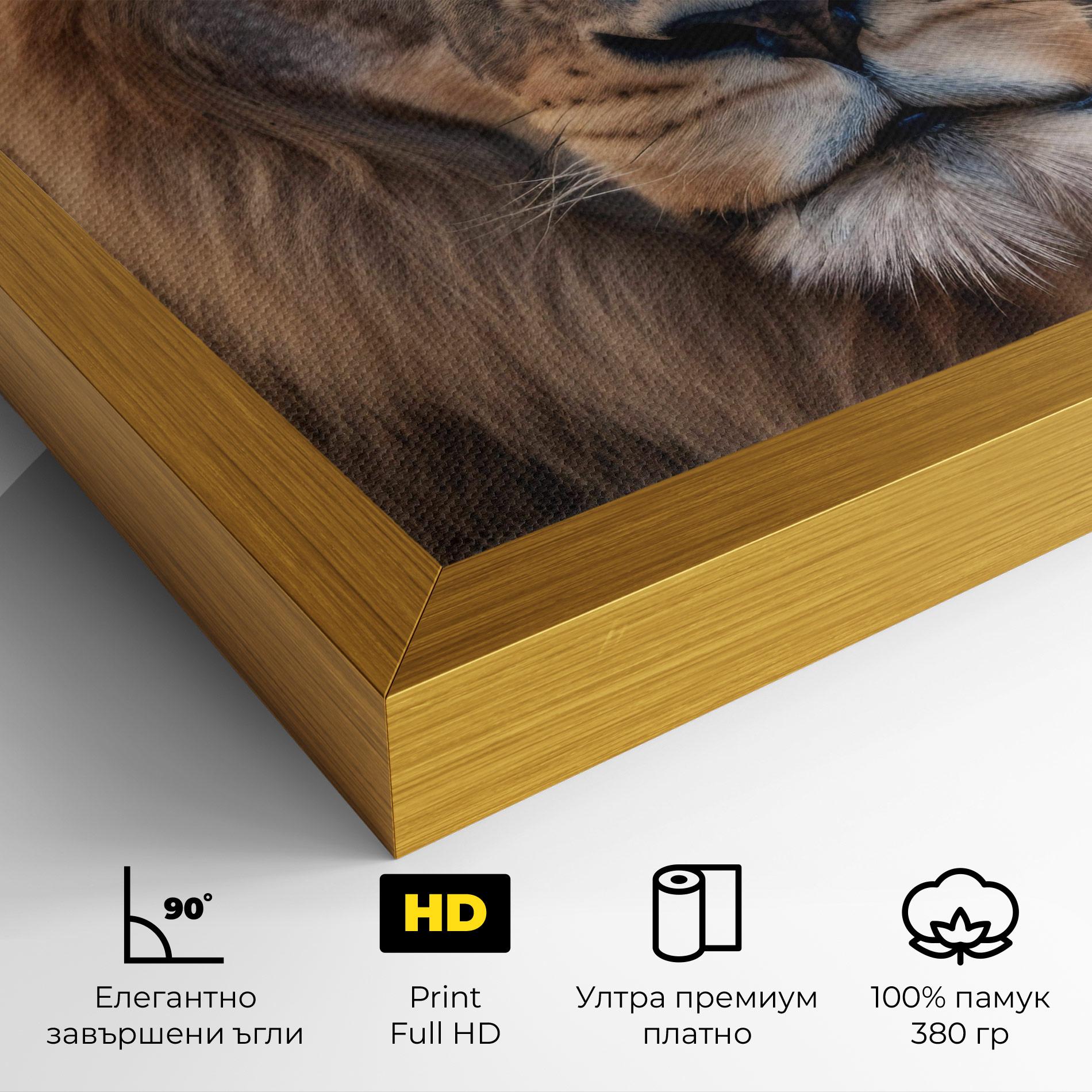 Картина на платно Wild Lion View mockup 4