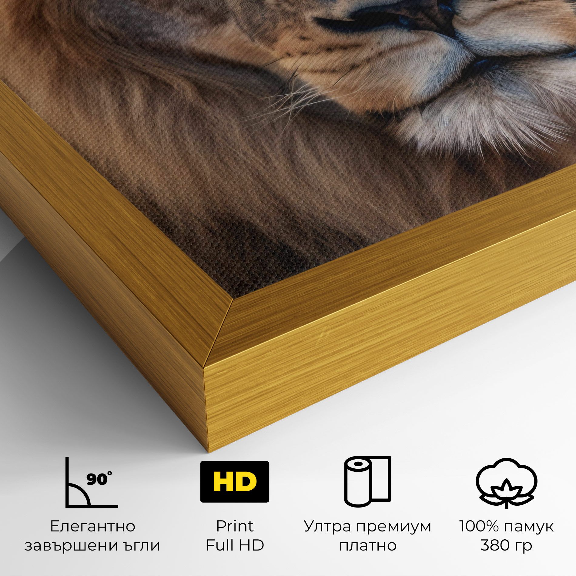 Wild Lion View mockup 4