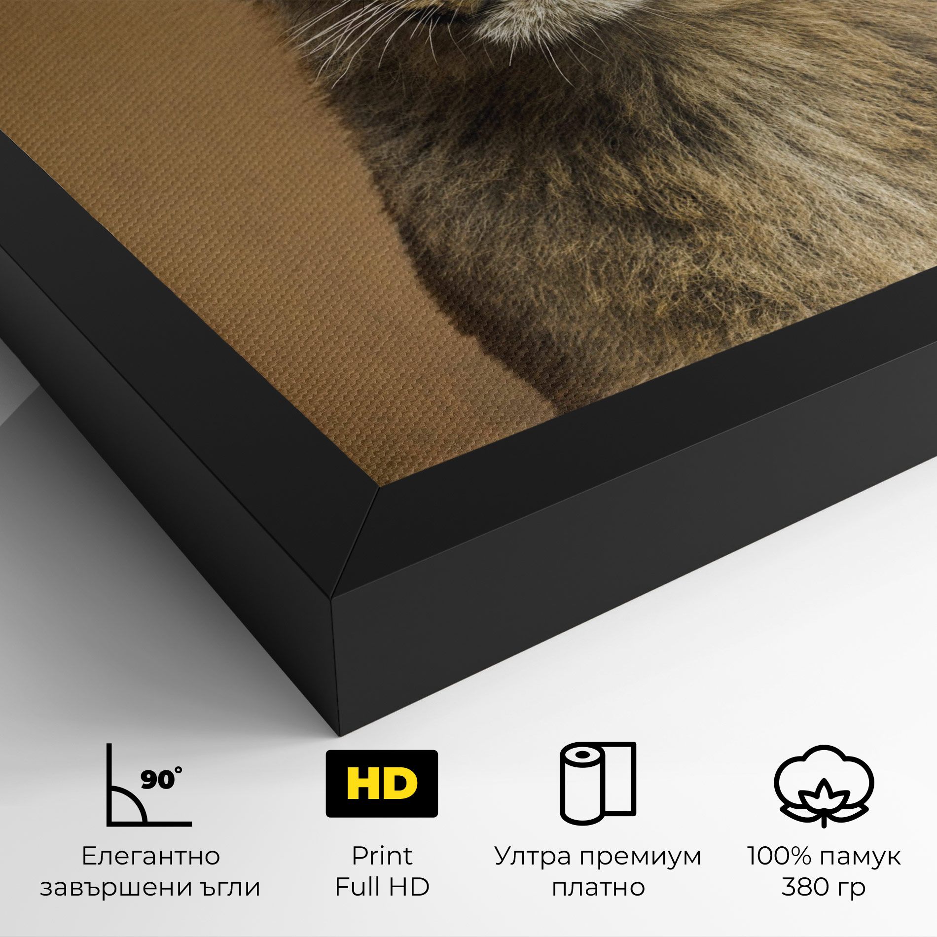Baby Lion mockup 4
