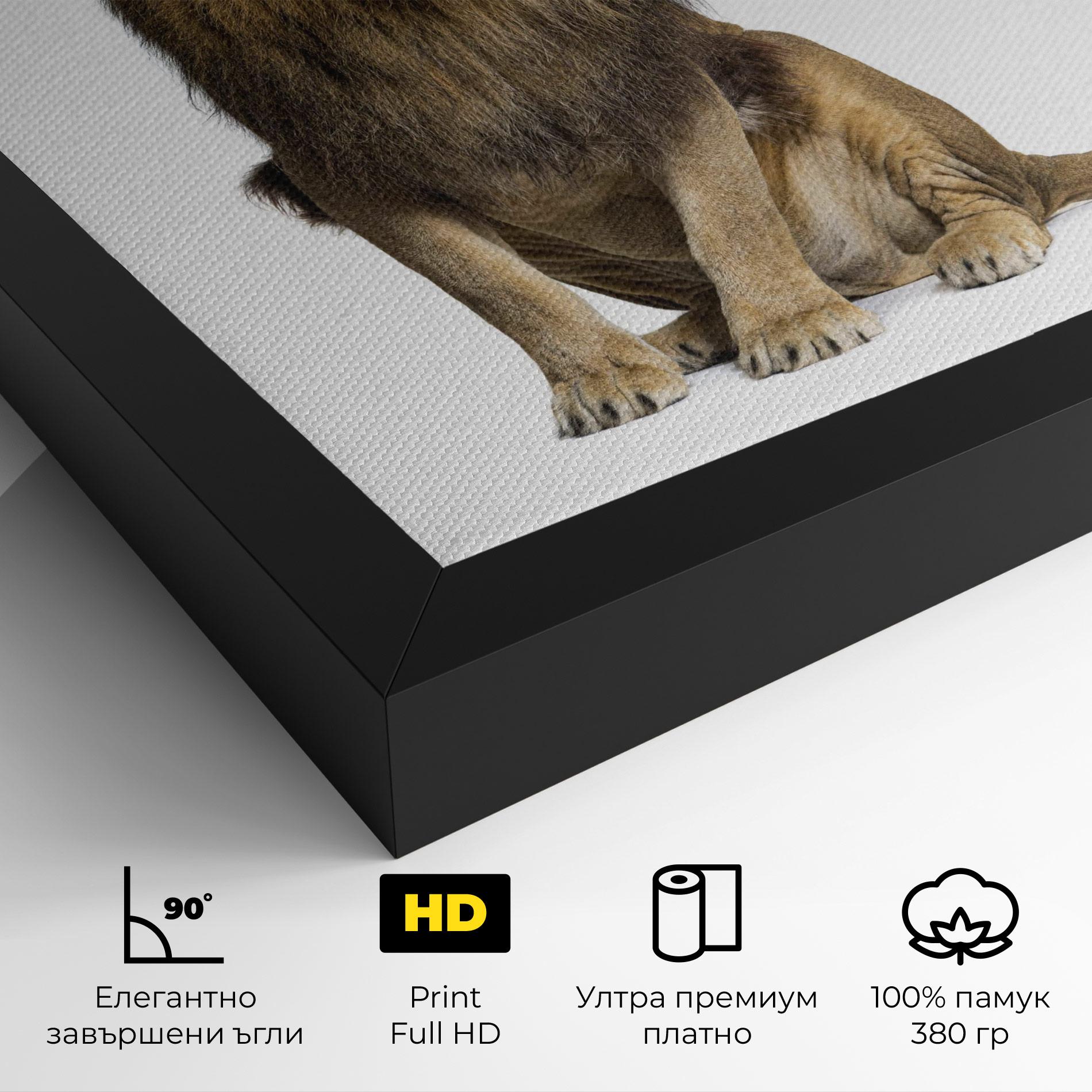 Картина на платно Big Lion mockup 4