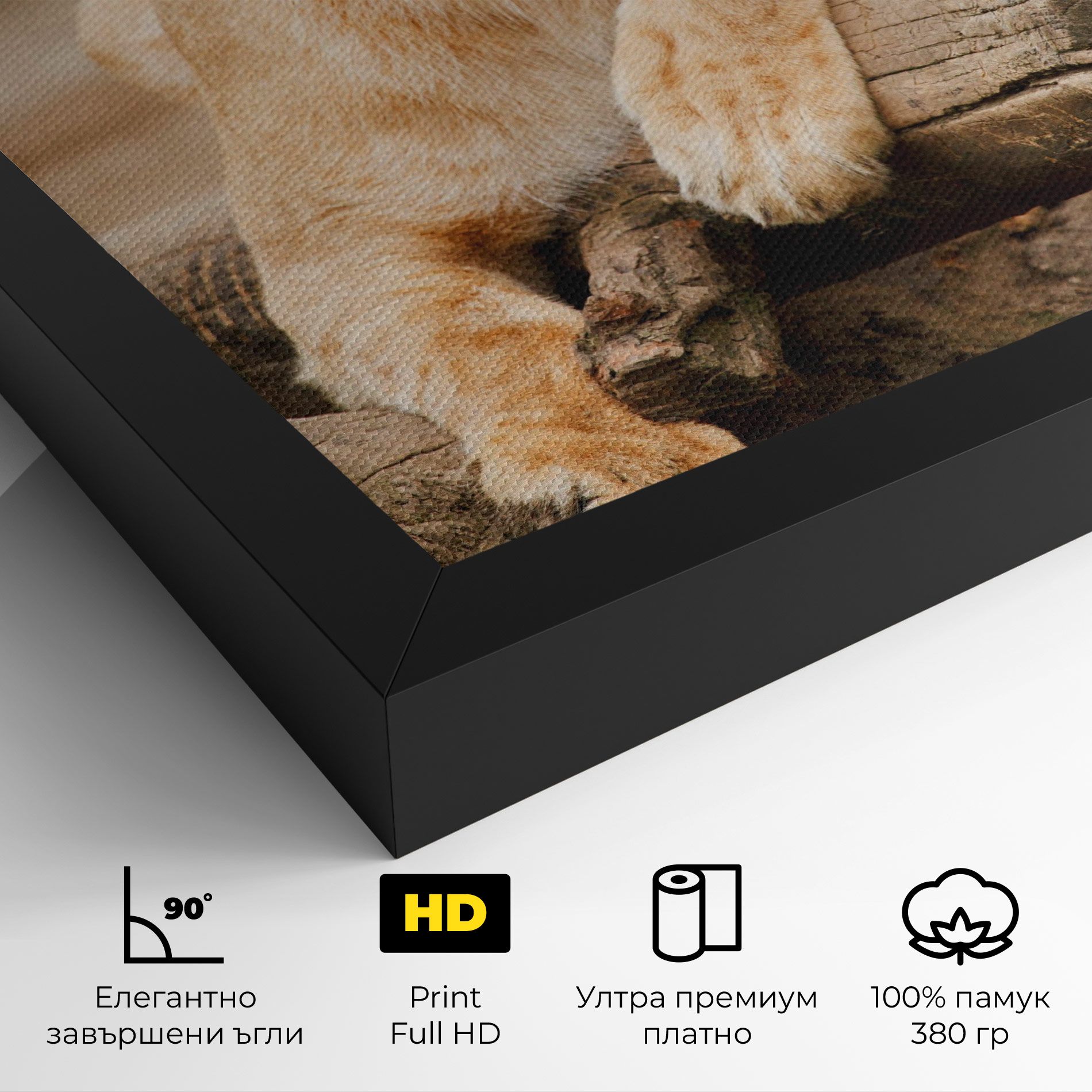 Female Lion Sitting mockup 4