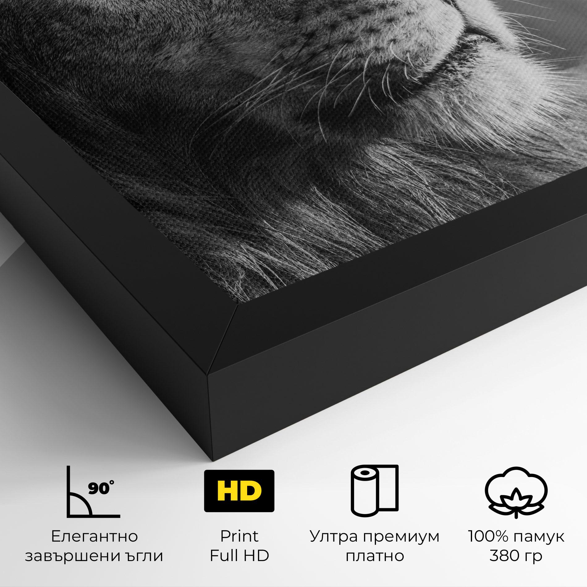 Картина на платно Grey Lion Head mockup 4