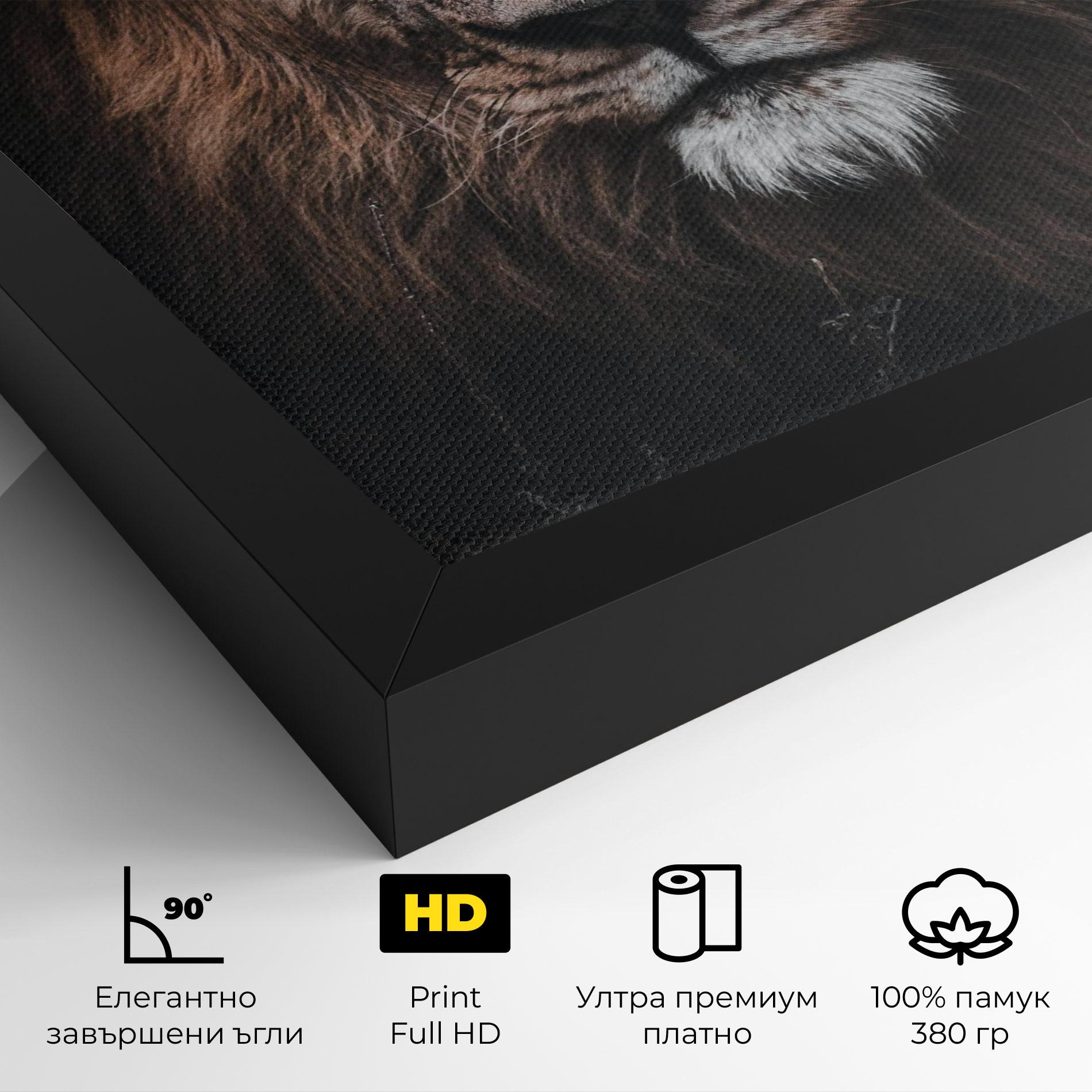 Картина на платно Jungle King mockup 4