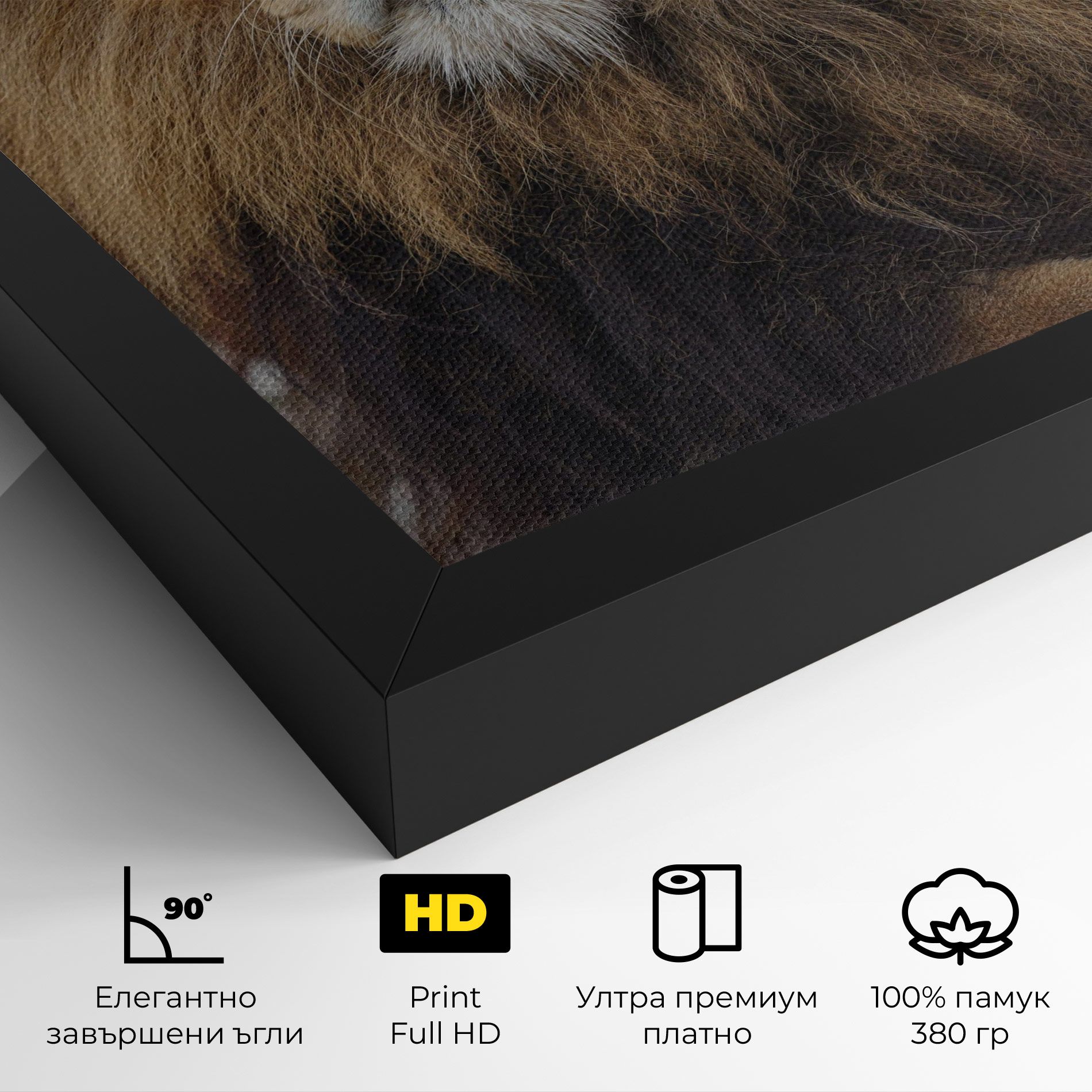 Lion Chilling mockup 4