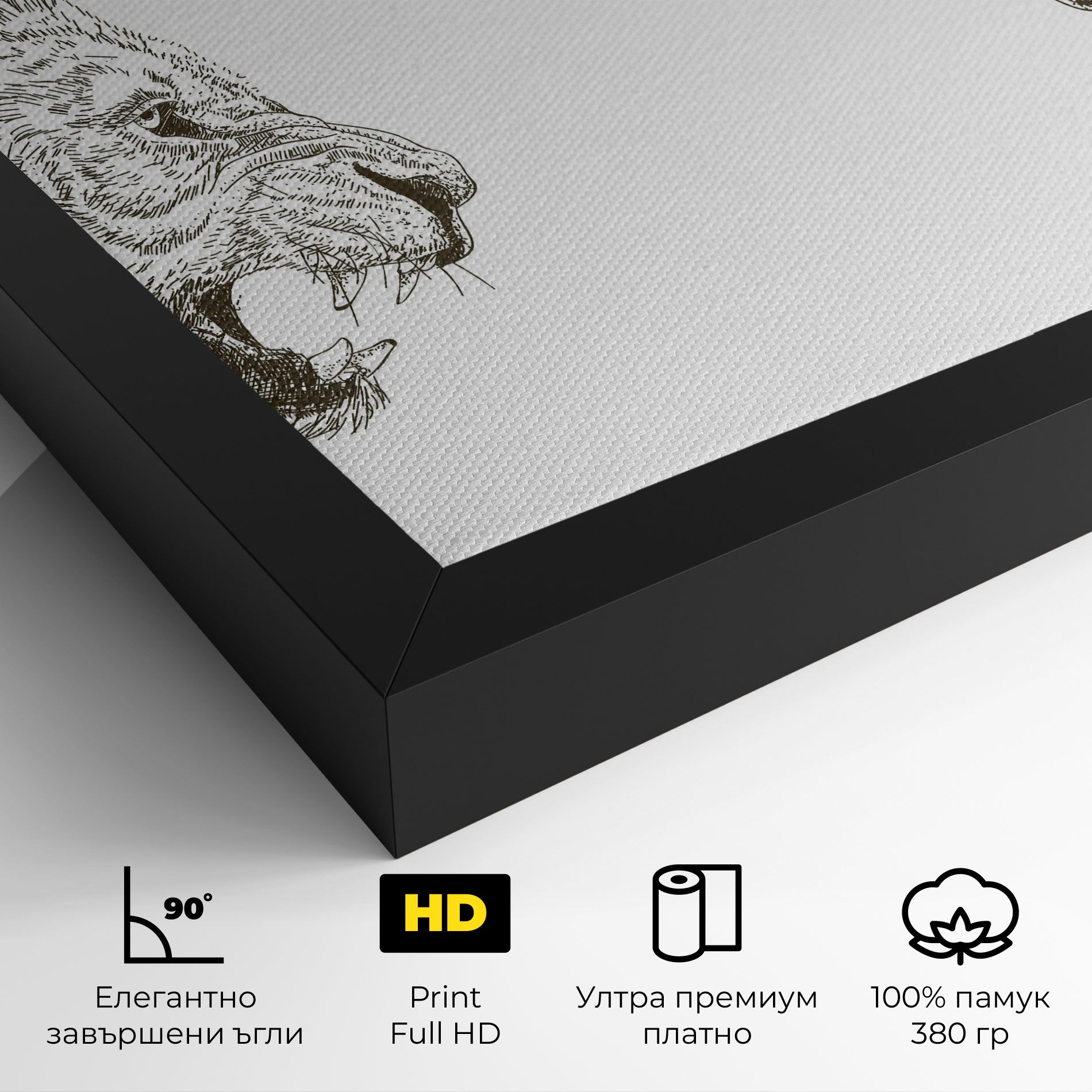 Lion For Text mockup 4
