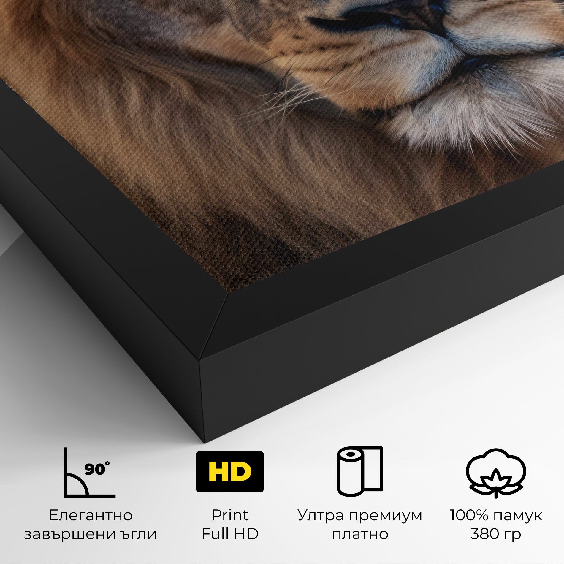 Wild Lion View mockup 4