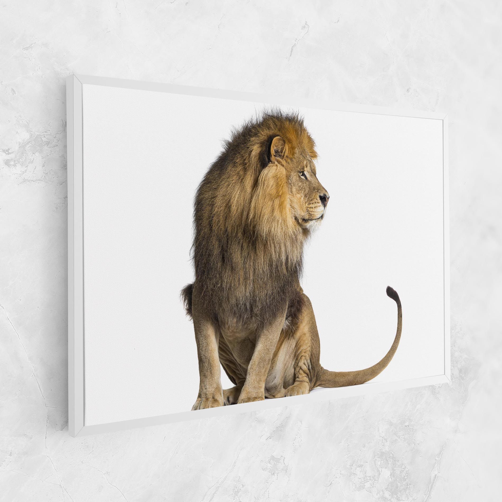 Big Lion mockup 1