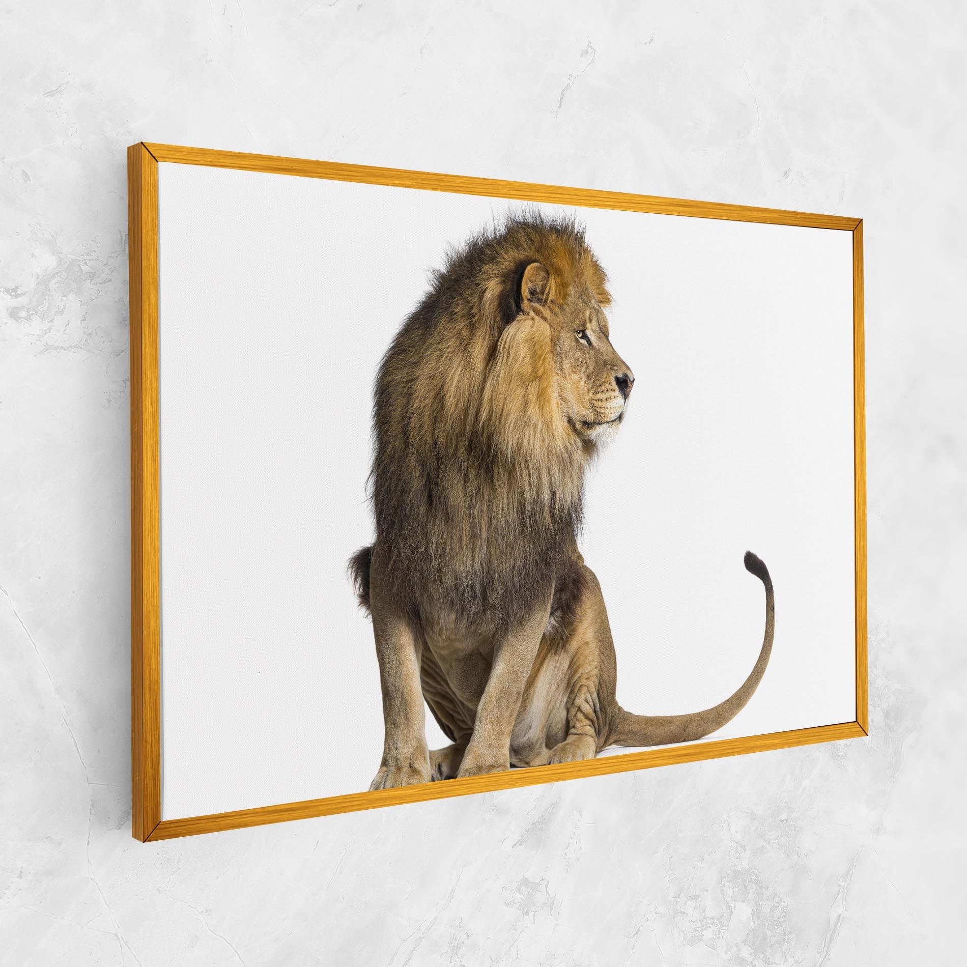 Big Lion mockup 1