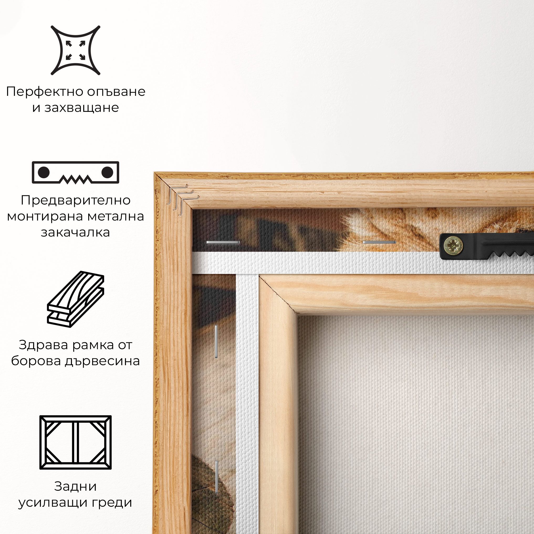 Female Lion Sitting mockup 5