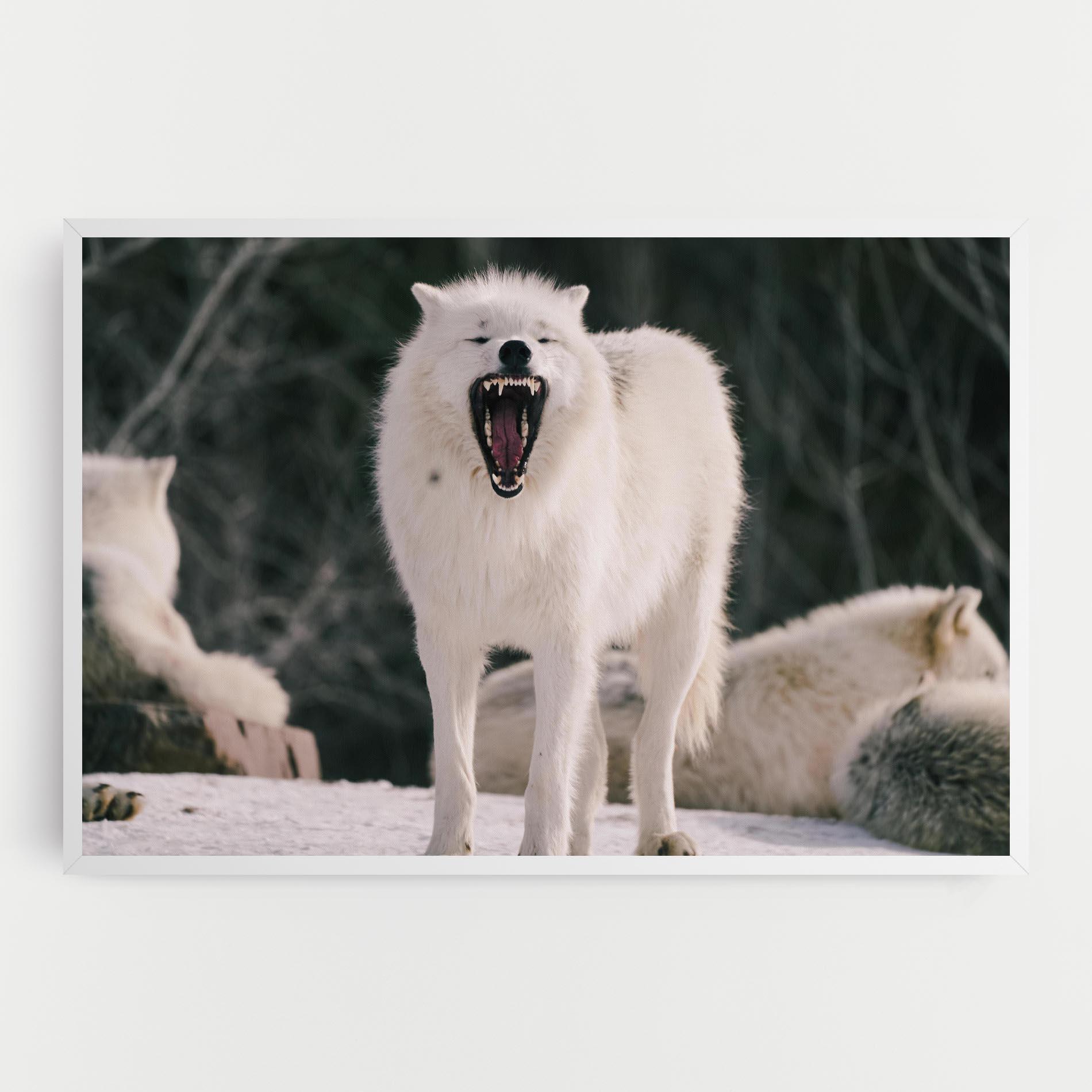 Картина на платно Laughing White Wolf mockup 0