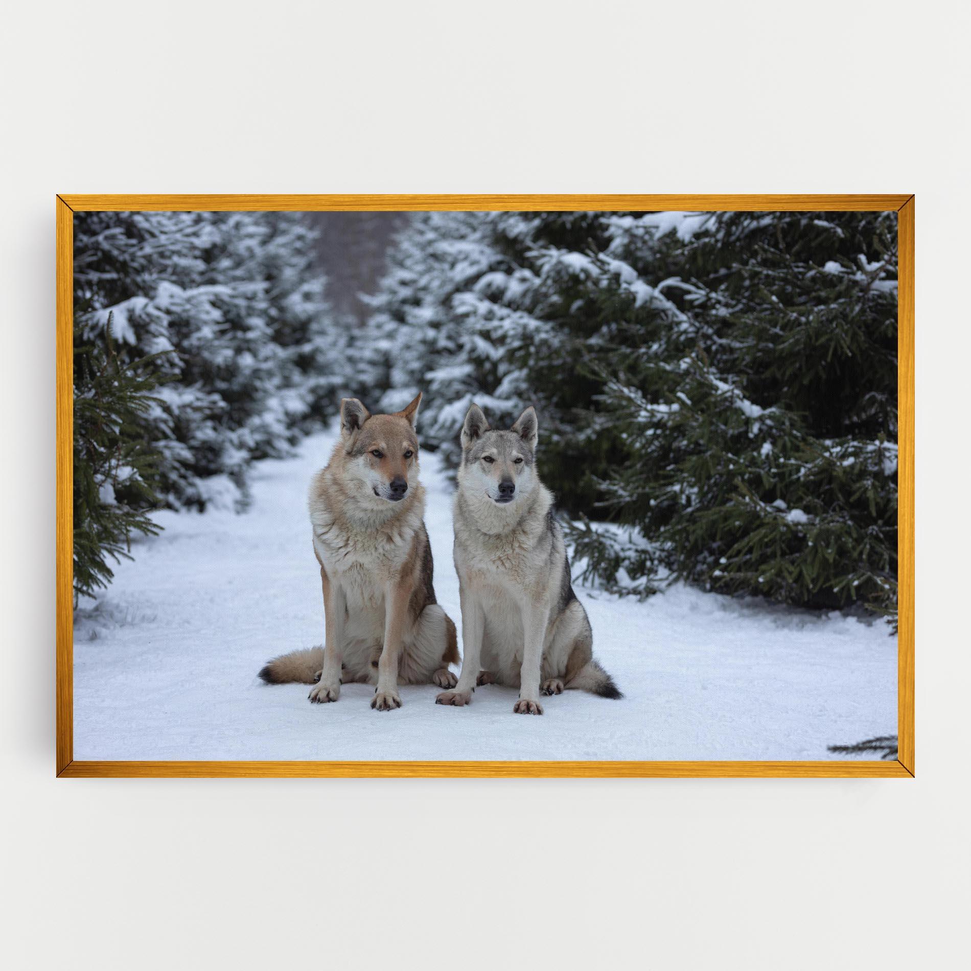 Картина на платно 2 Wolfs Sitting mockup 0