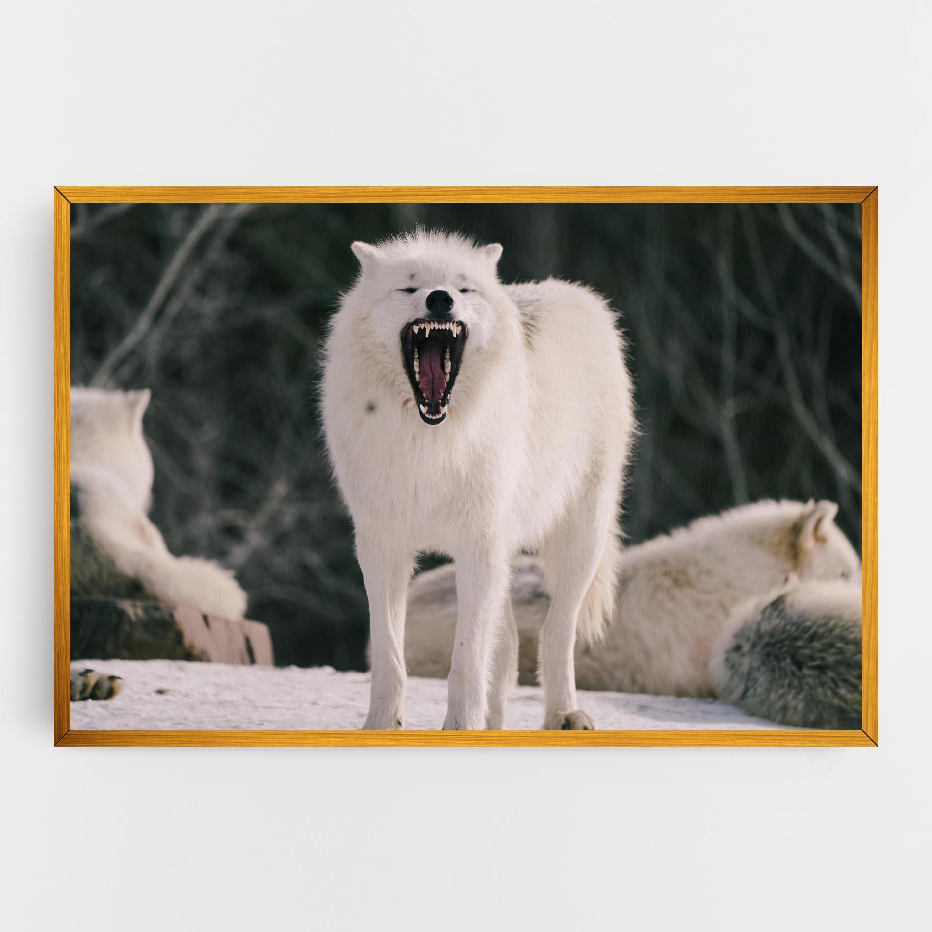 Картина на платно Laughing White Wolf mockup 0