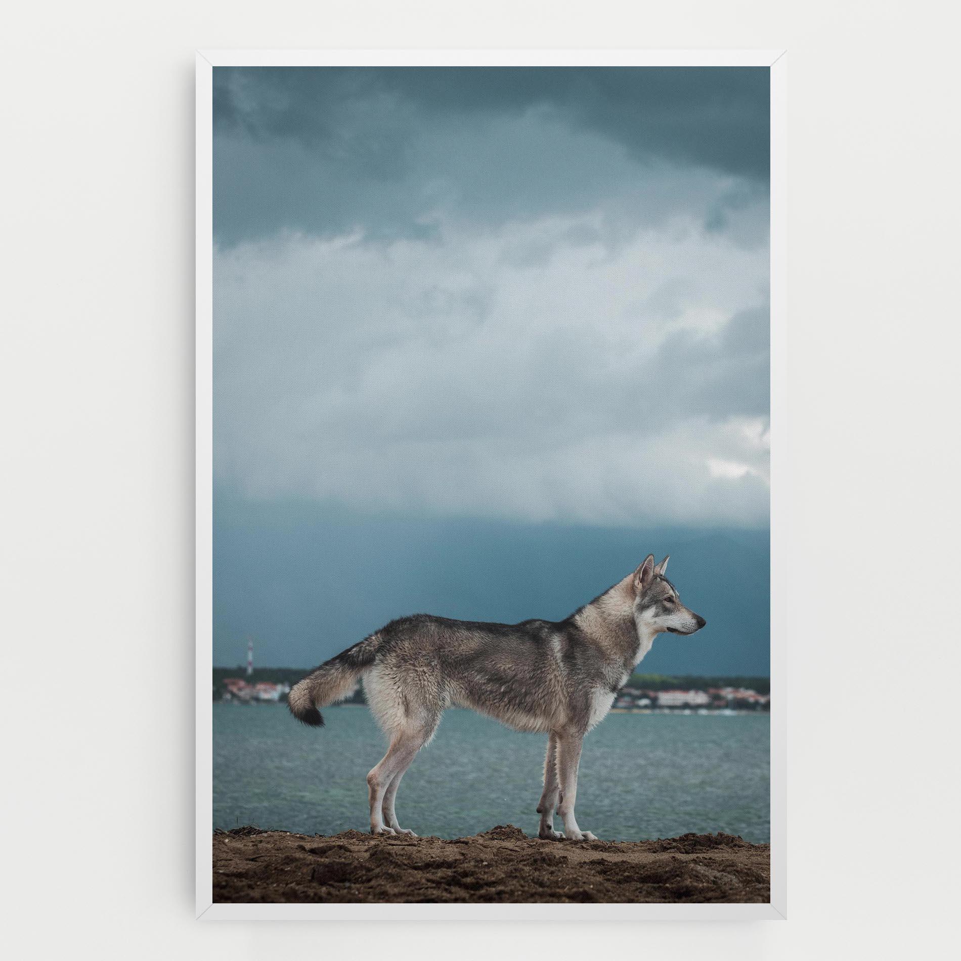 Картина на платно Grey Wolf Looking mockup 0