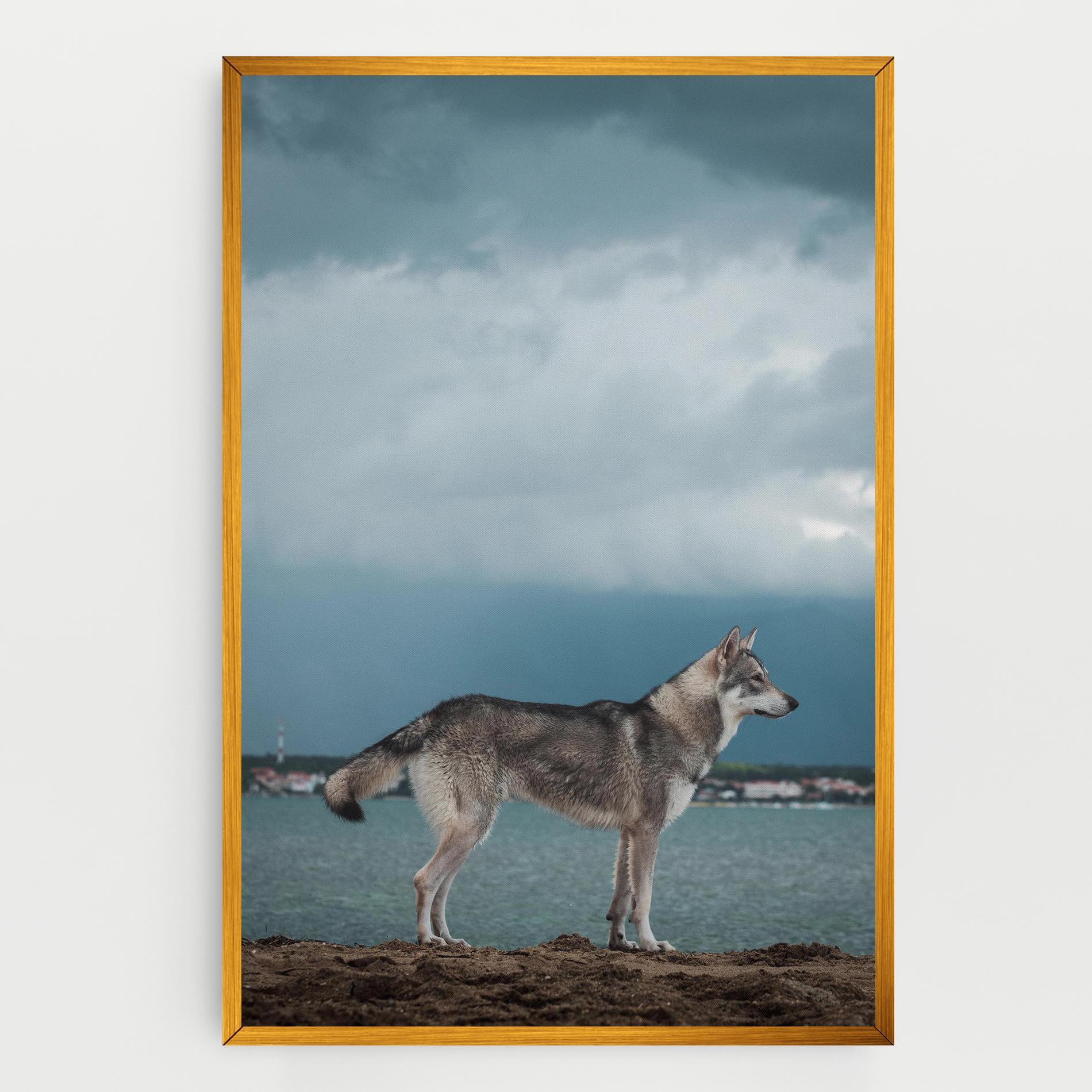 Картина на платно Grey Wolf Looking mockup 0