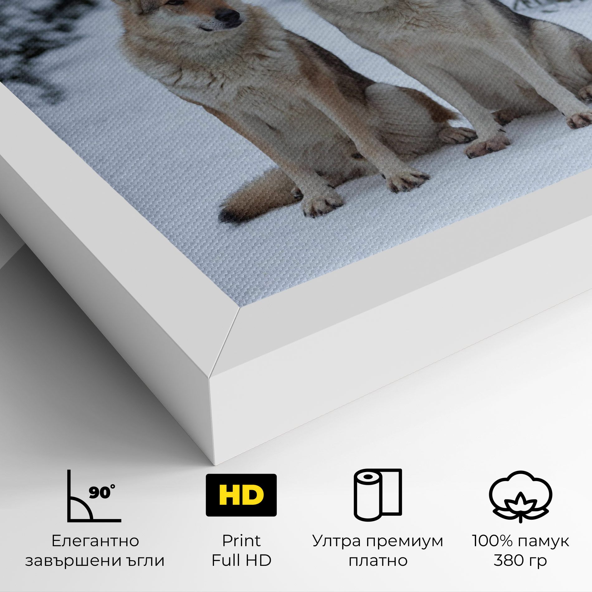 2 Wolfs Sitting mockup 4
