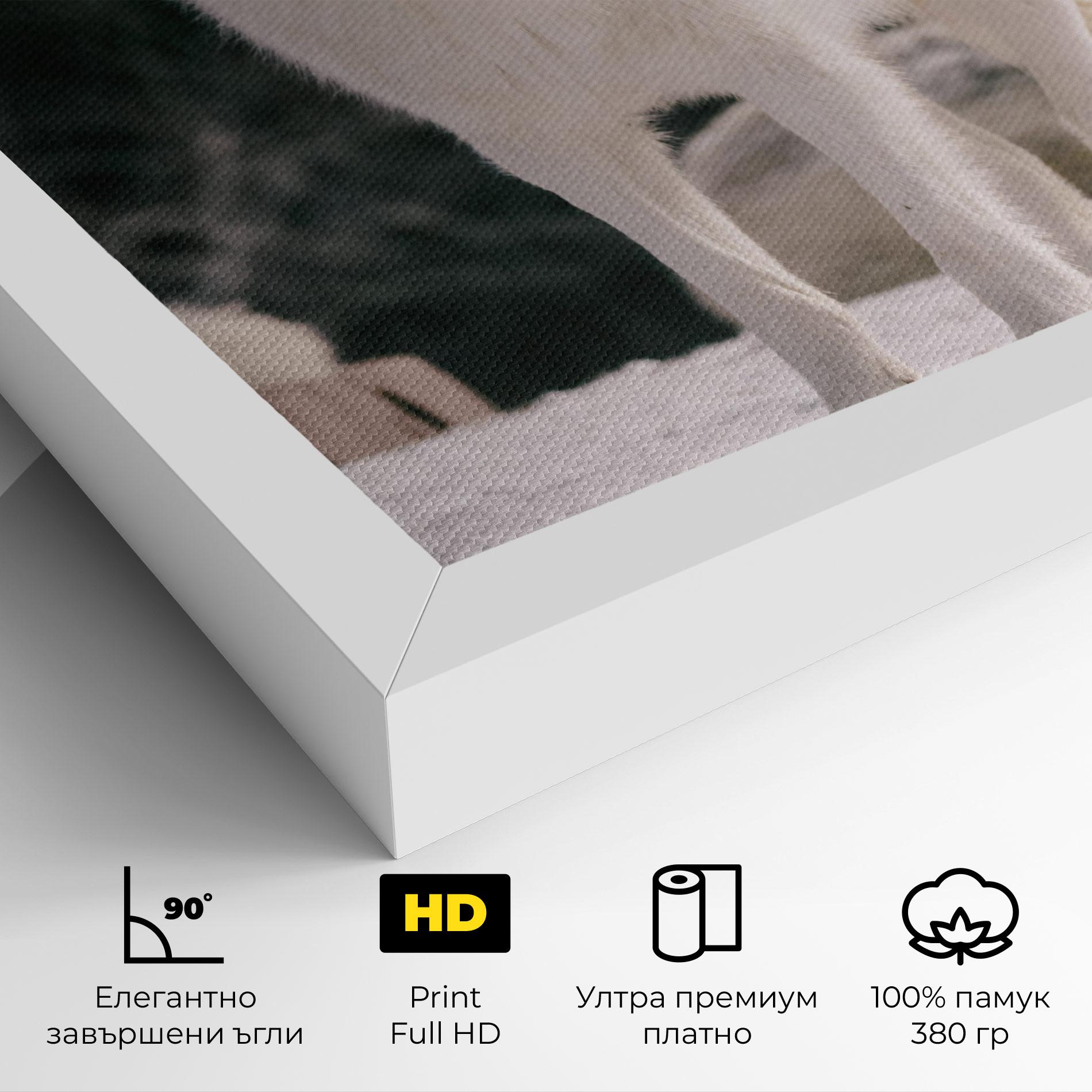 Картина на платно Laughing White Wolf mockup 4