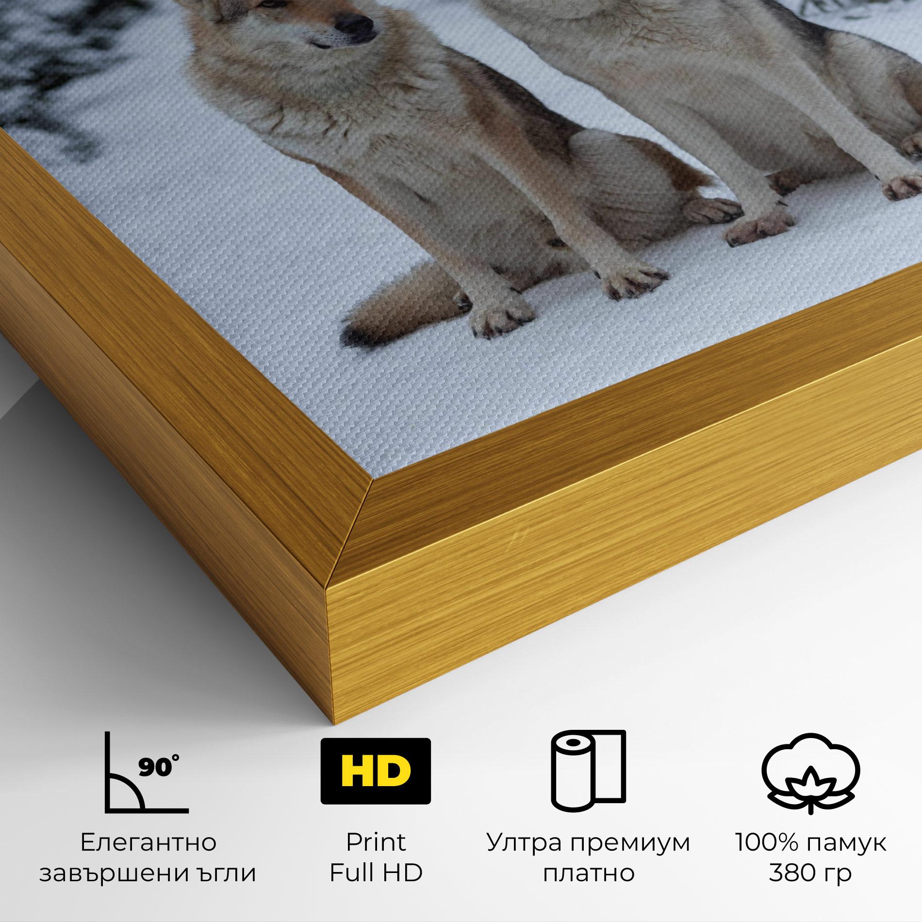 Картина на платно 2 Wolfs Sitting mockup 4