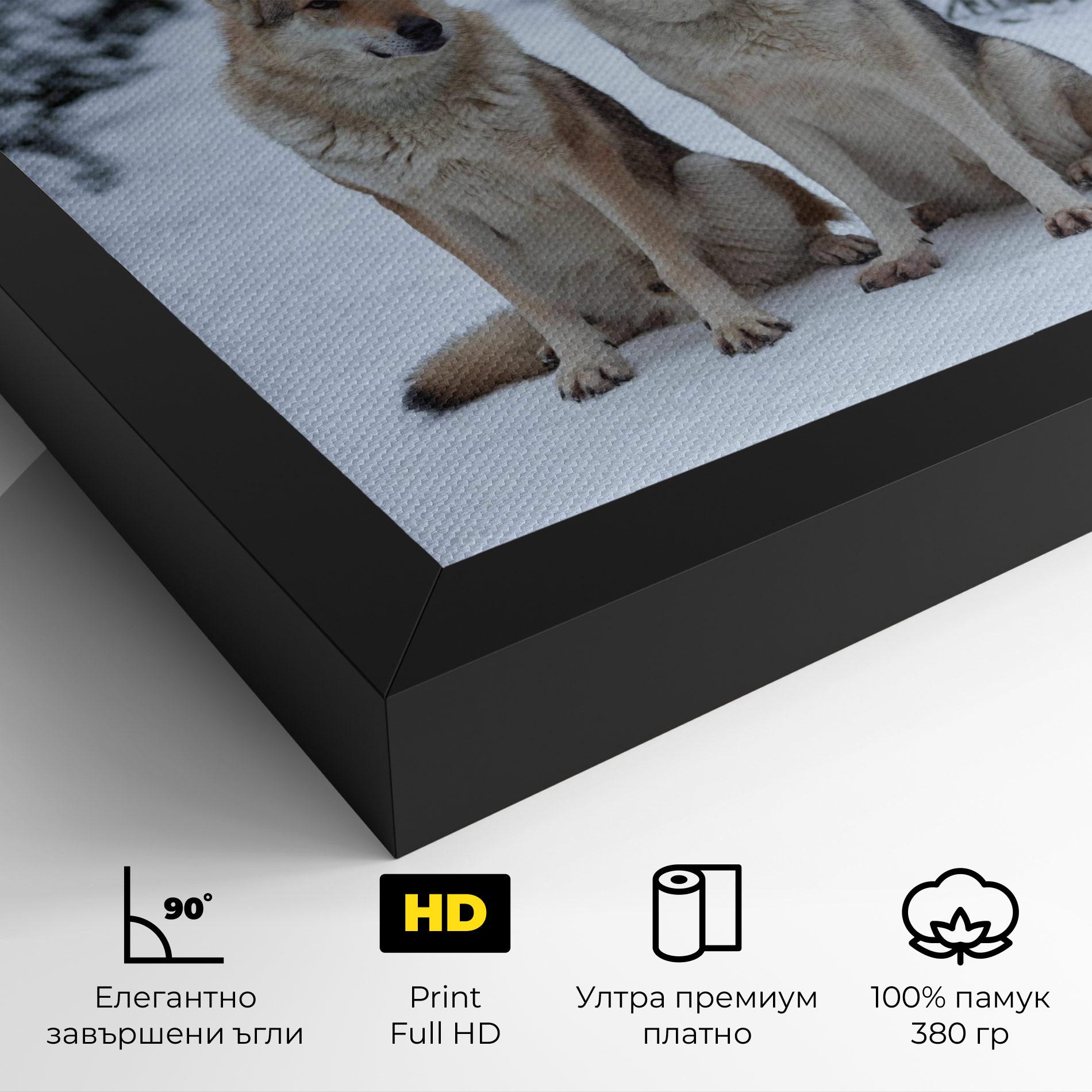 Картина на платно 2 Wolfs Sitting mockup 4