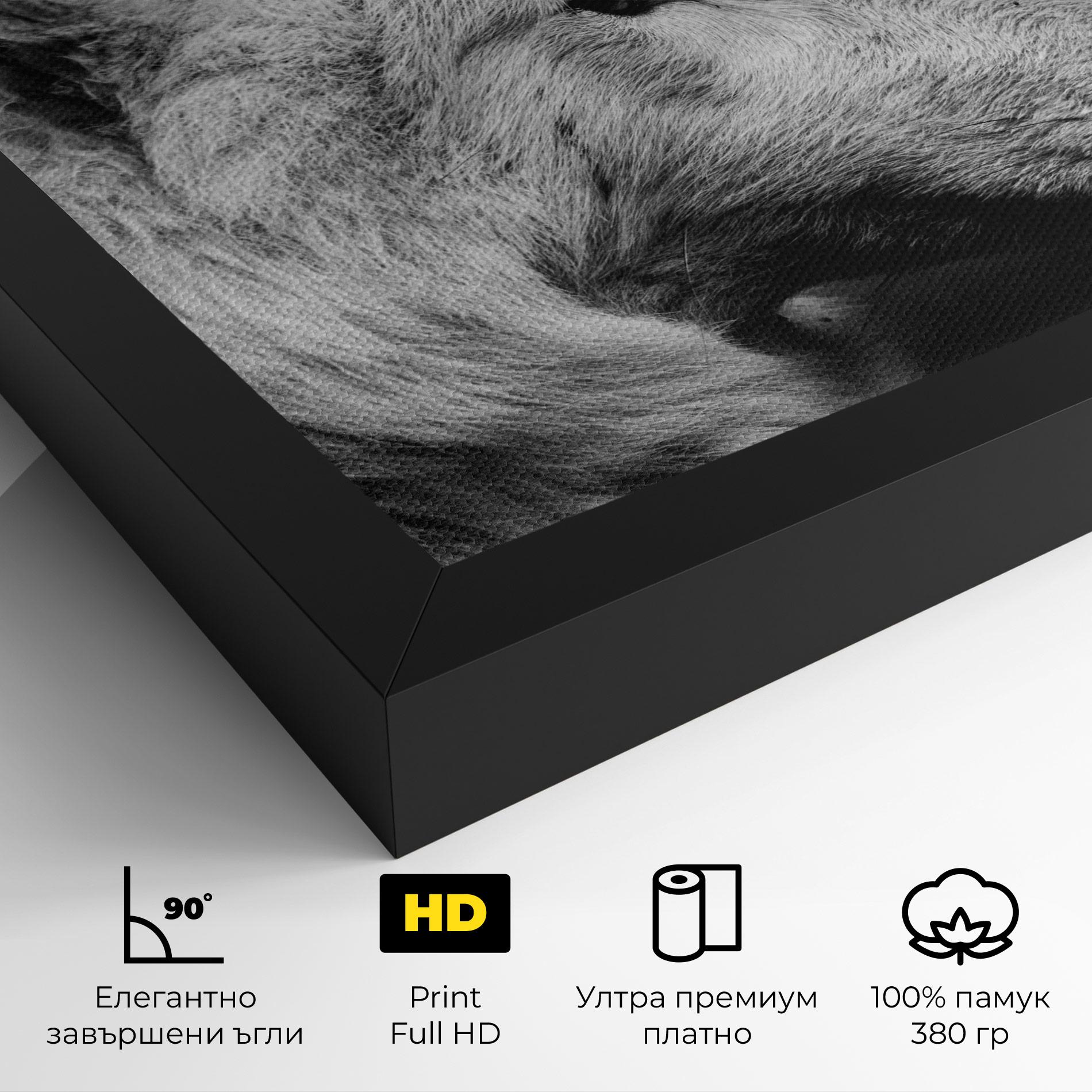 Картина на платно Grey Wolf mockup 4
