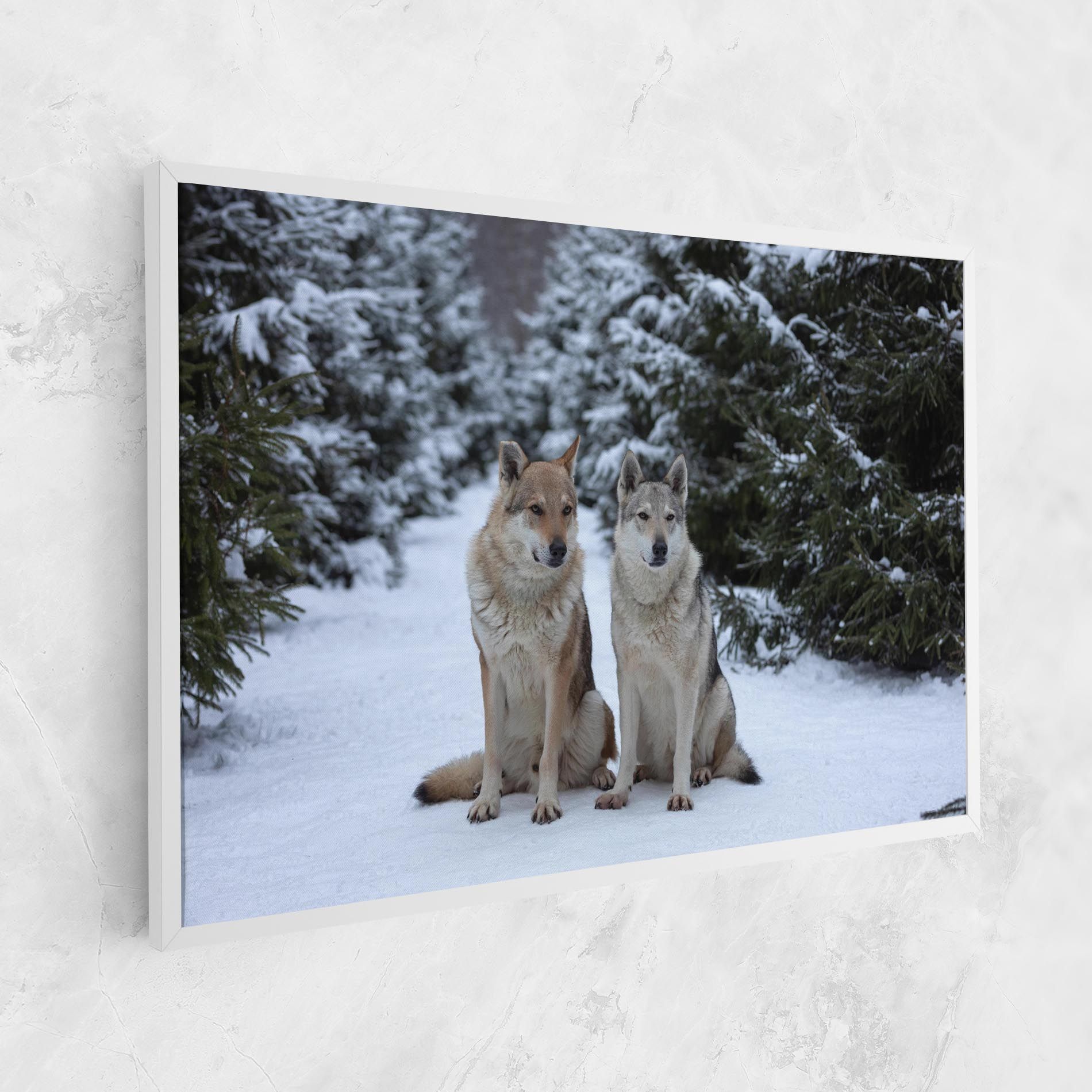 2 Wolfs Sitting mockup 1