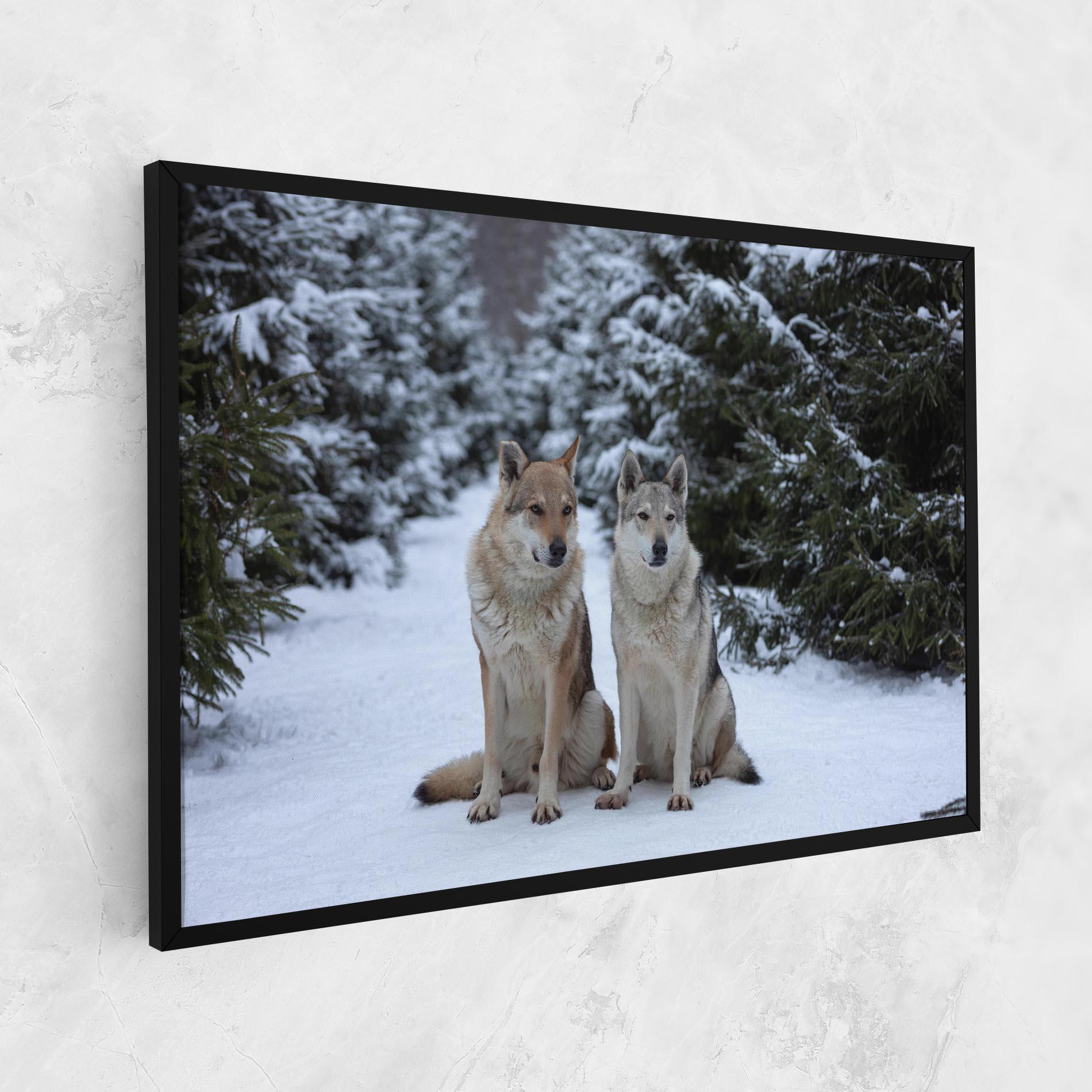 Картина на платно 2 Wolfs Sitting mockup 1
