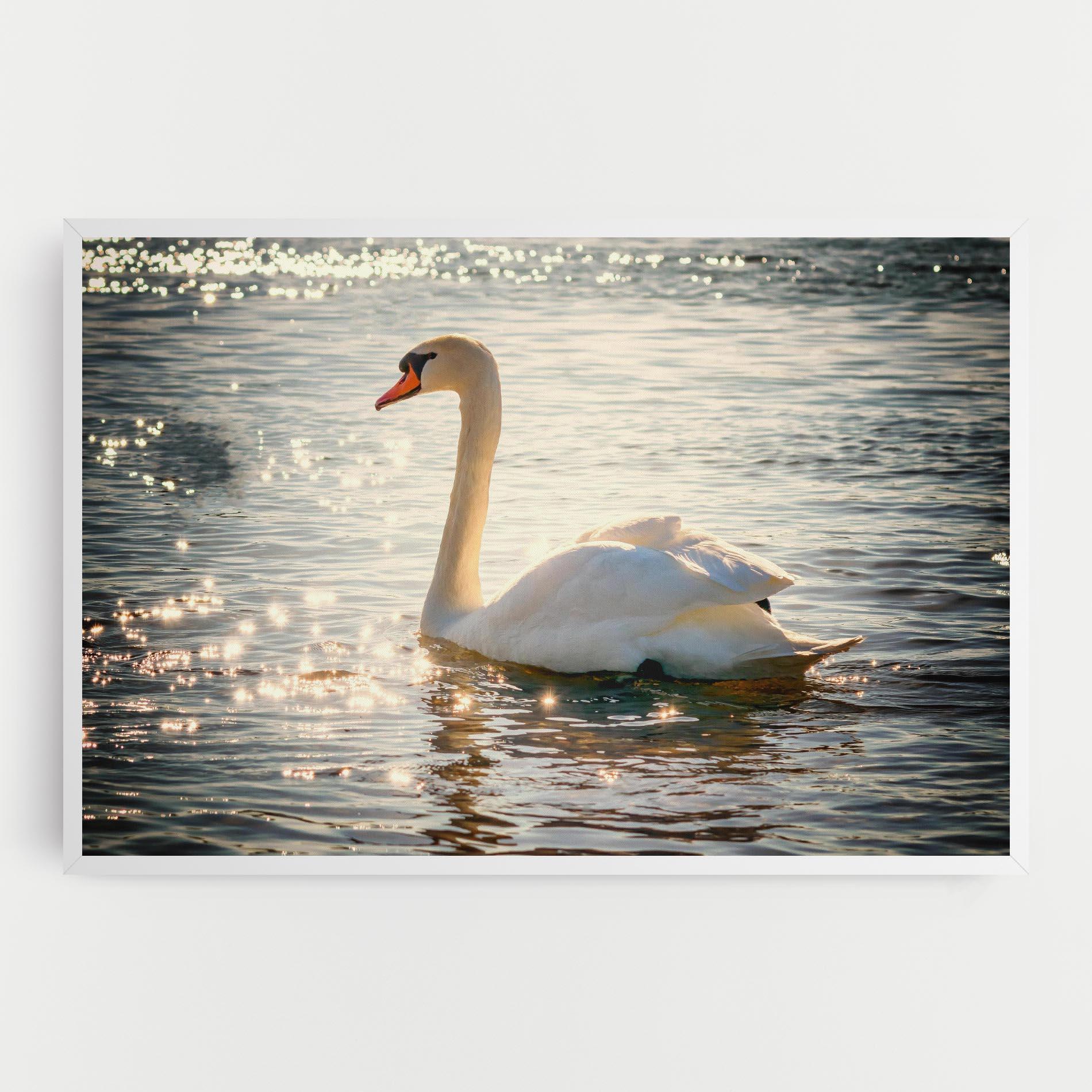 Картина на платно Swan On Lake mockup 0