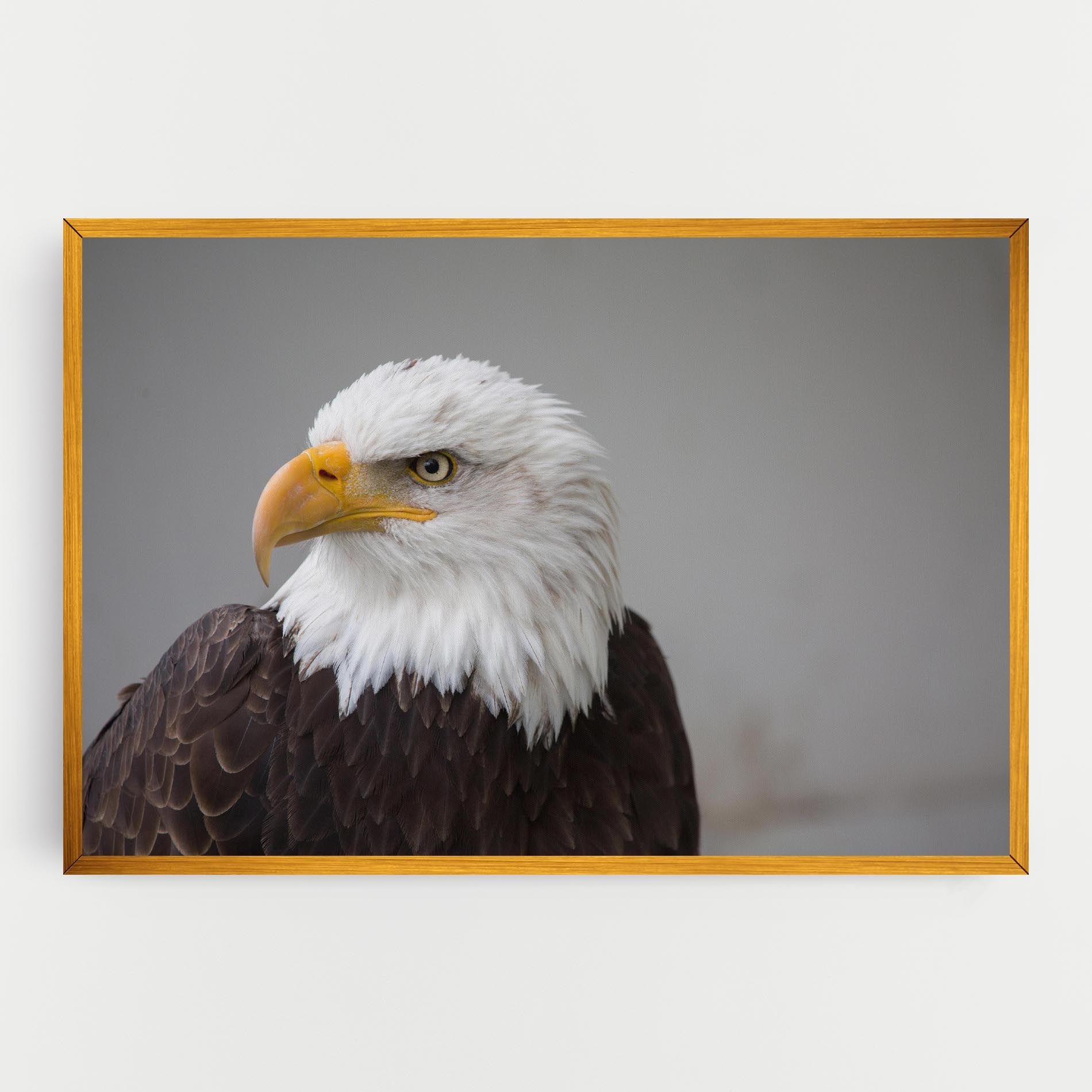 Beautiful Eagle mockup 0