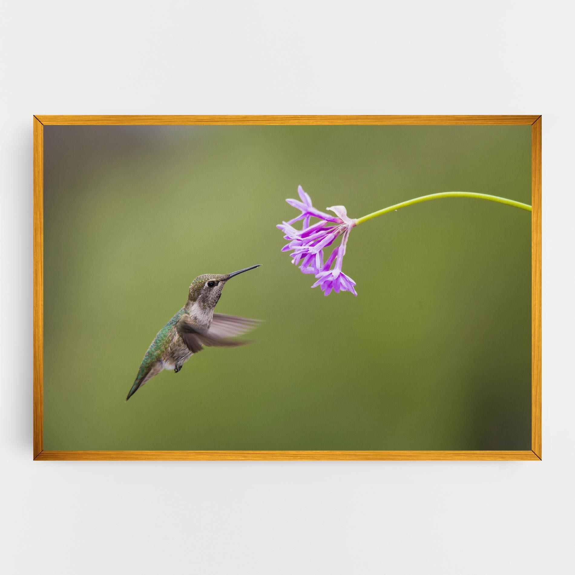 Картина на платно Cute Hummingbird mockup 0