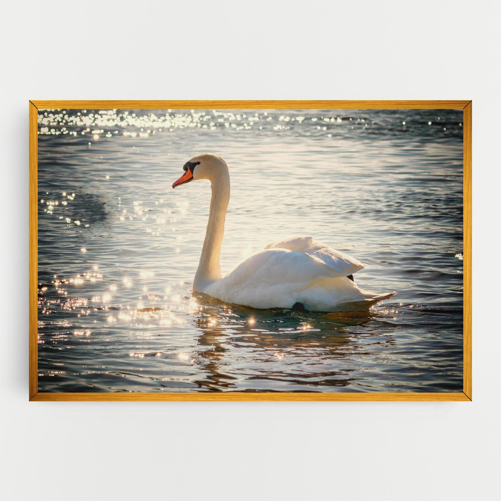 Картина на платно Swan On Lake mockup 0