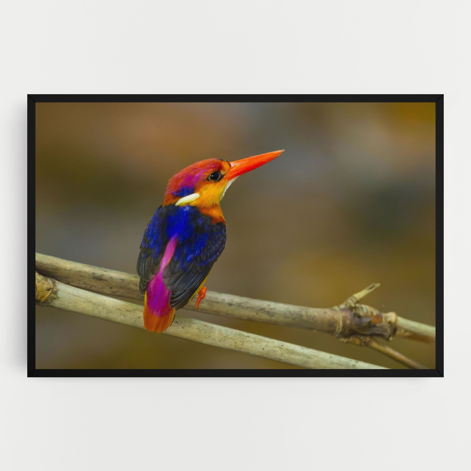 Colorful Bird mockup 0